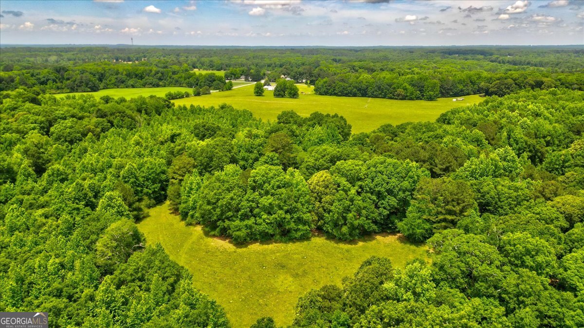 48.04 Acres Caldwell Road Property Photo 16