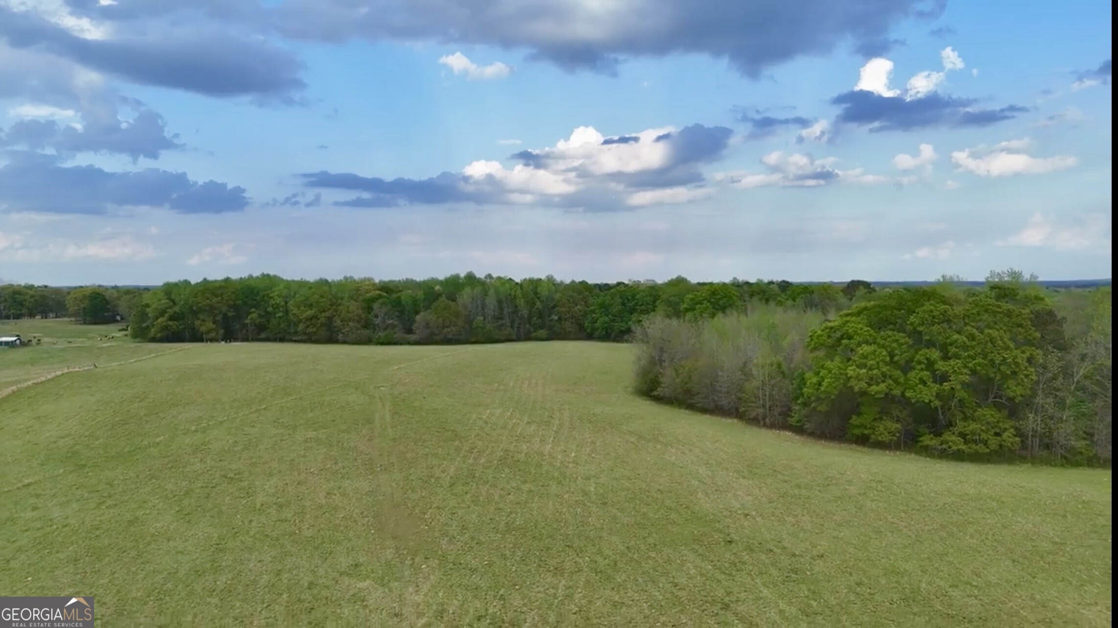 48.04 Acres Caldwell Road Property Photo 21