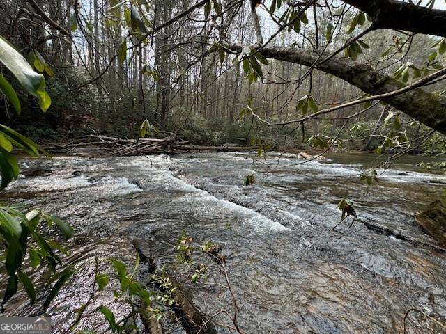 0 Horseshoe Bend Road Property Photo 1