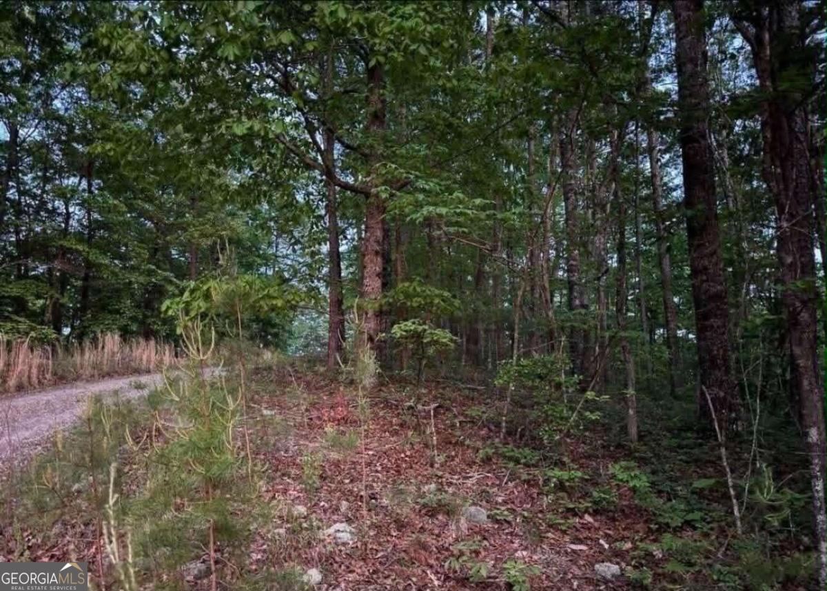 562 Neptune Circle Ne Property Photo 6