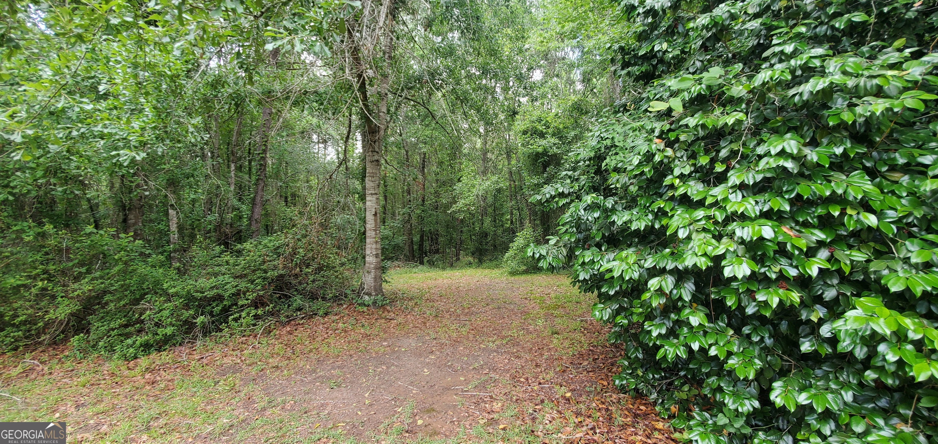 132 N Ocmulgee Boulevard Property Photo 9
