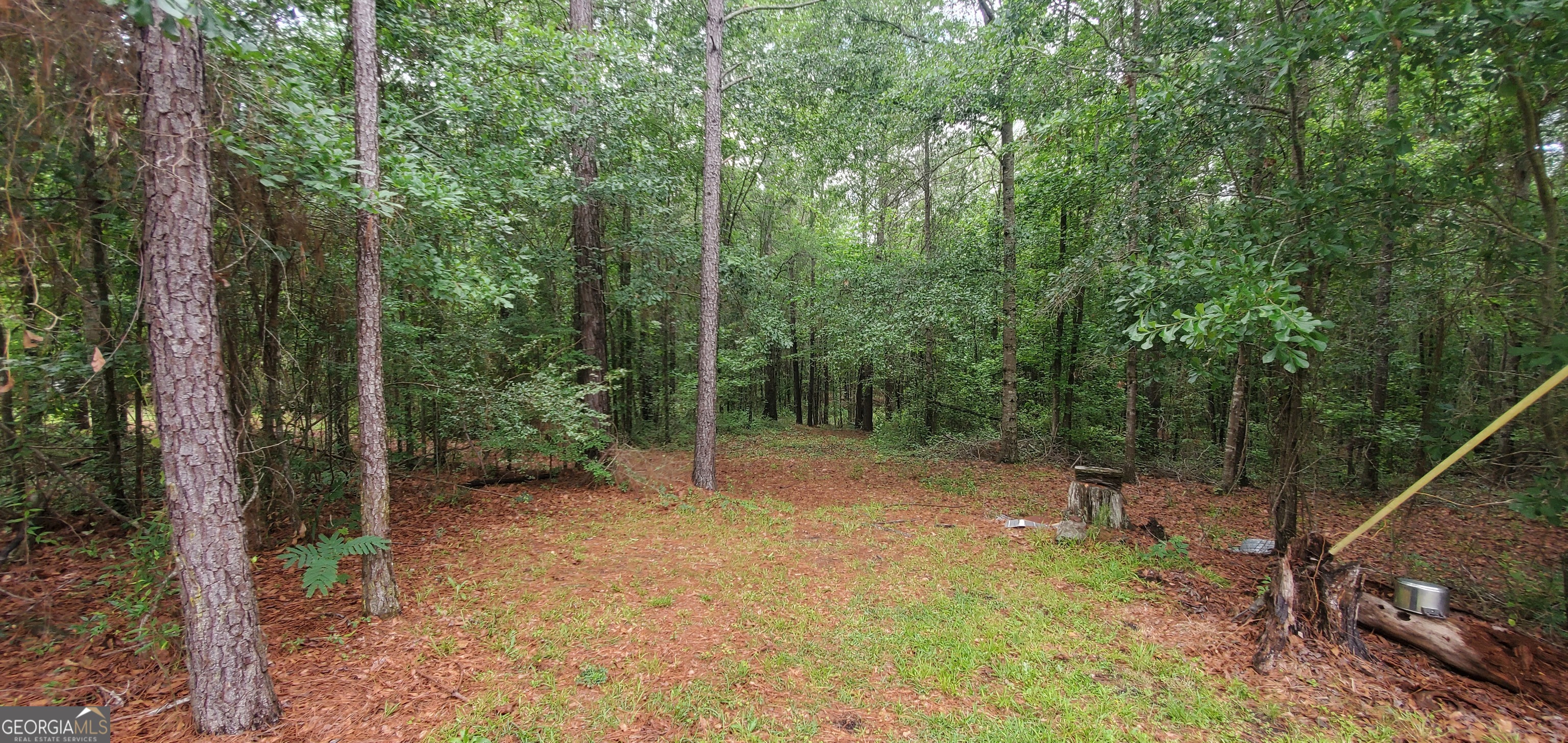 132 N Ocmulgee Boulevard Property Photo 14