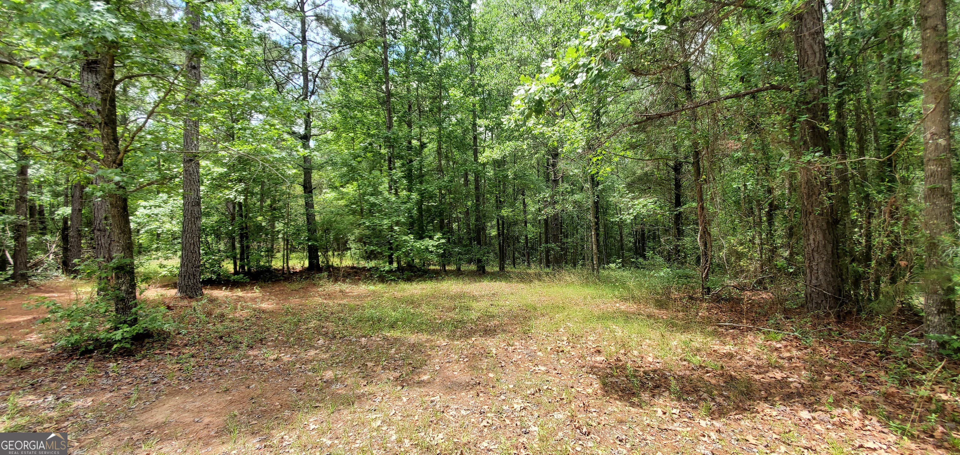 132 N Ocmulgee Boulevard Property Photo 48