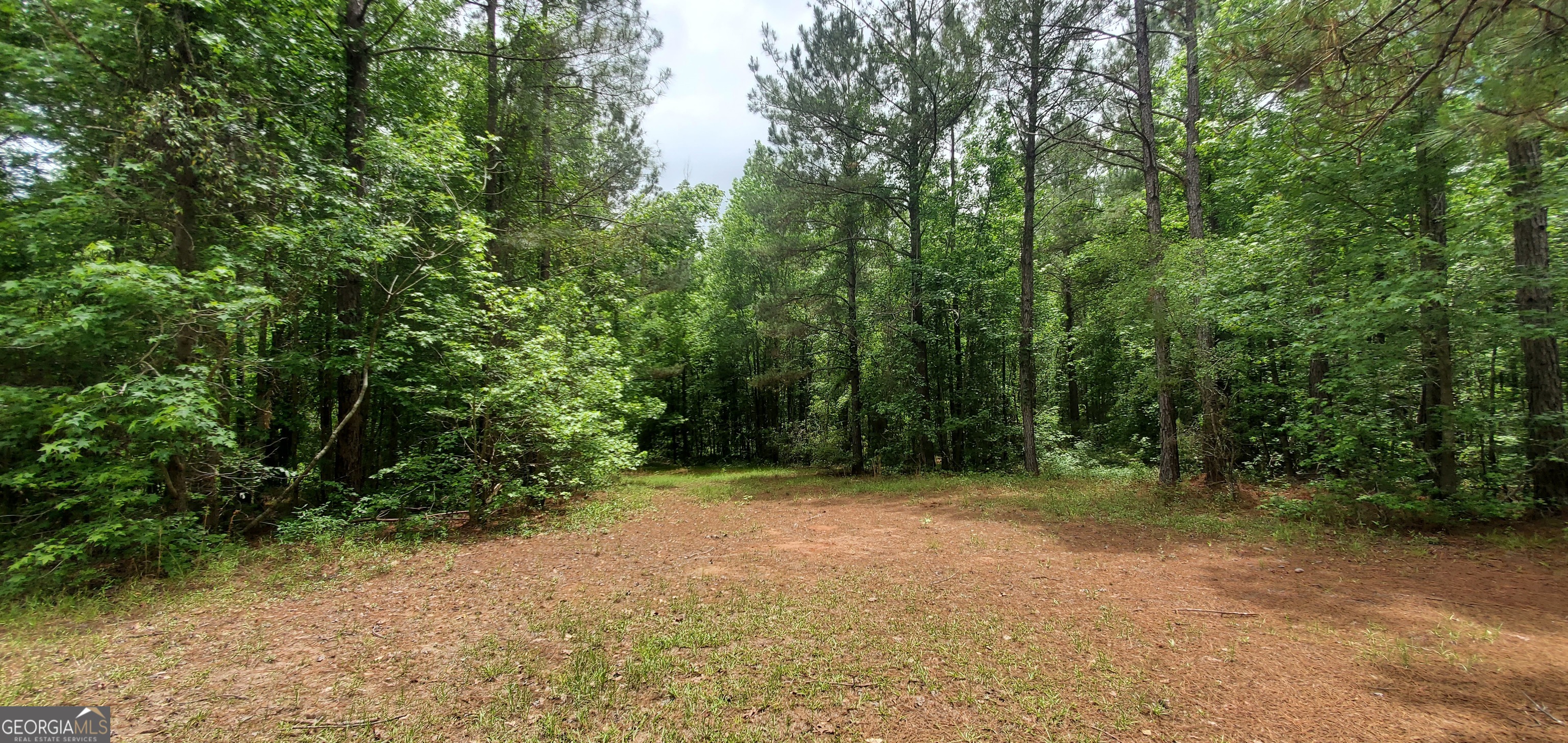 132 N Ocmulgee Boulevard Property Photo 49