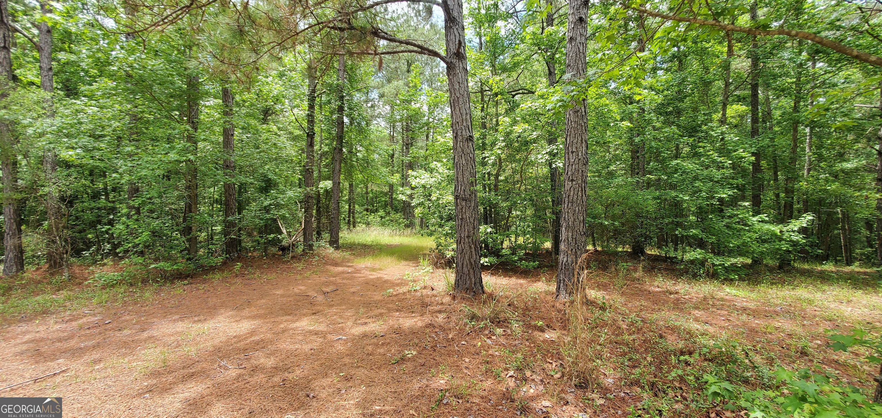 132 N Ocmulgee Boulevard Property Photo 50
