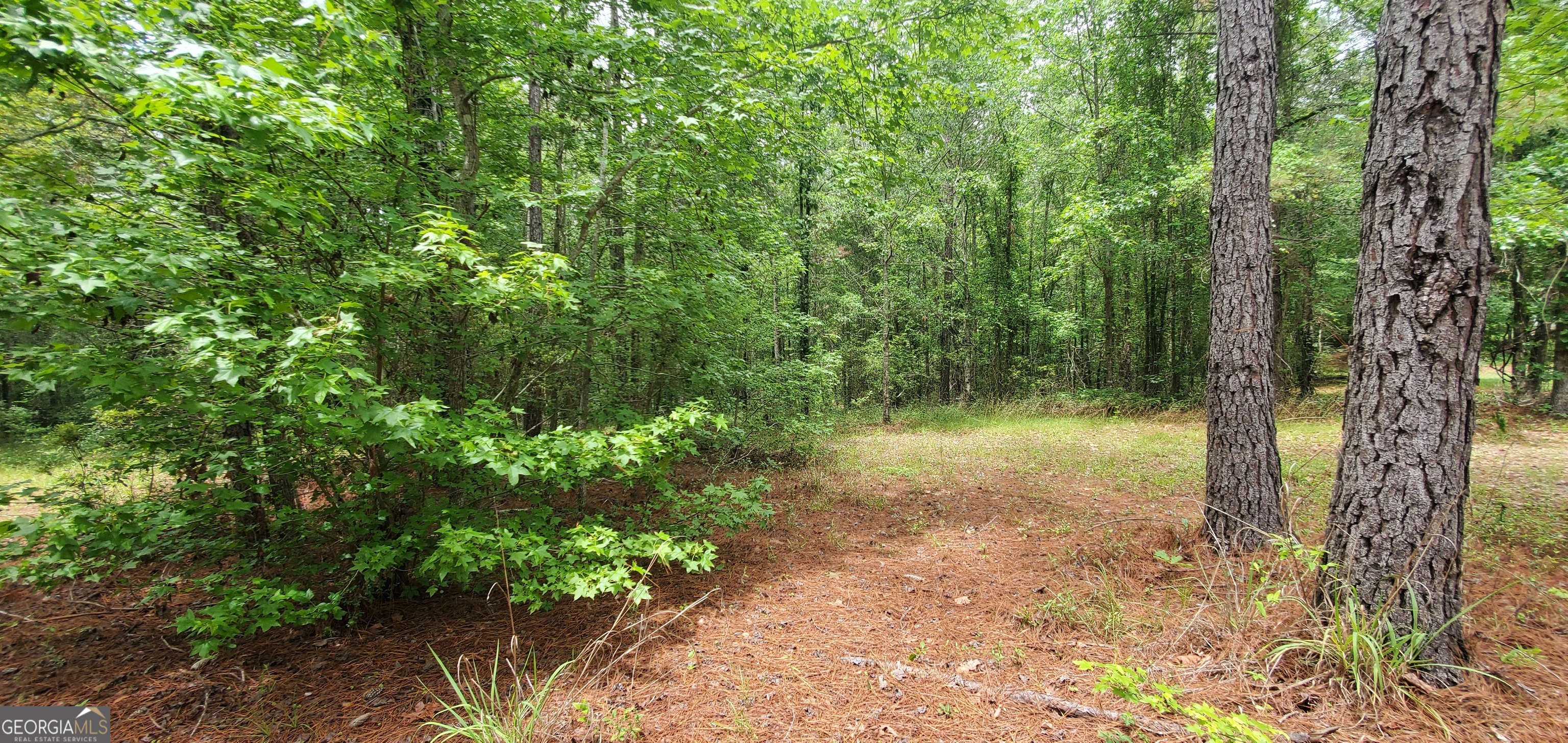 132 N Ocmulgee Boulevard Property Photo 52