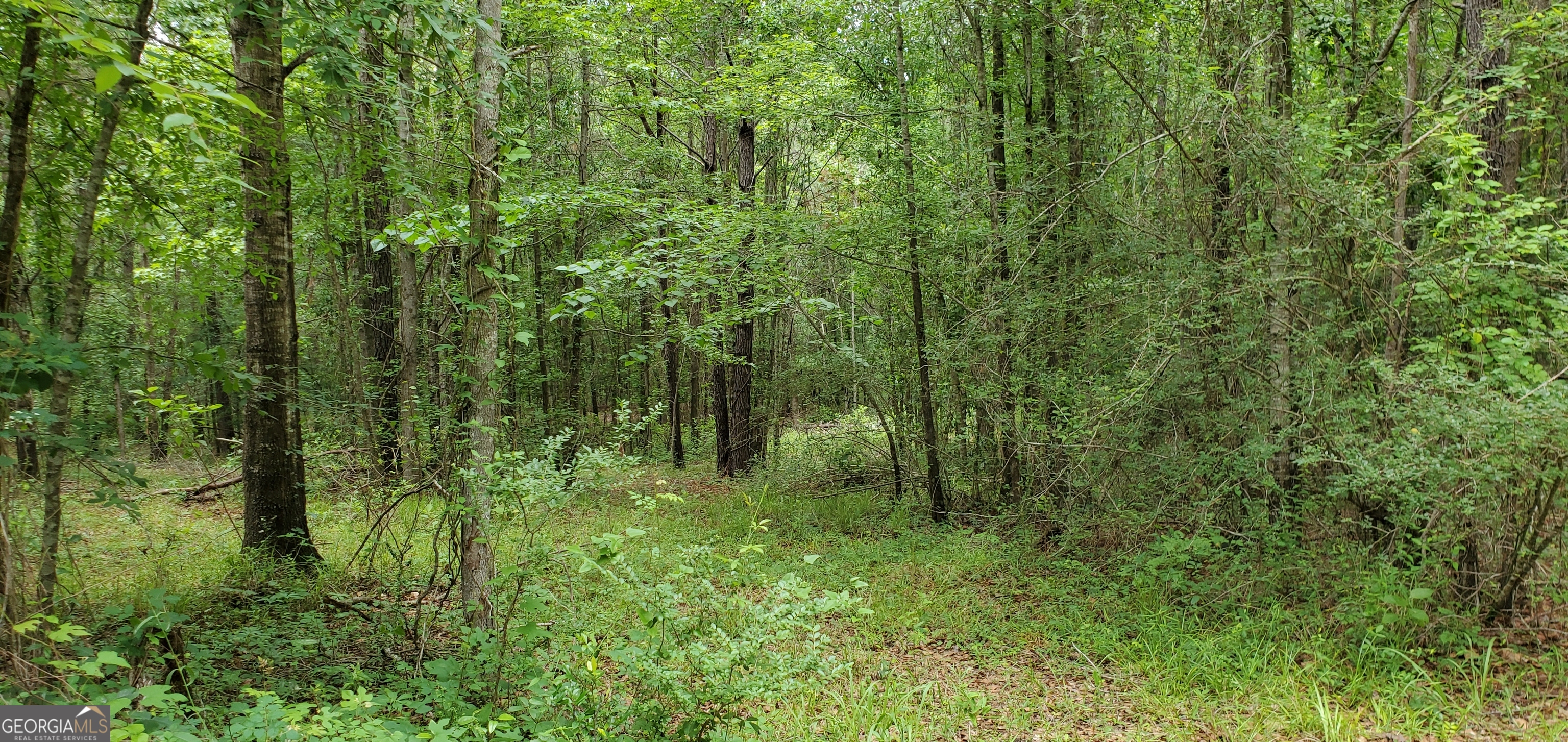 132 N Ocmulgee Boulevard Property Photo 54