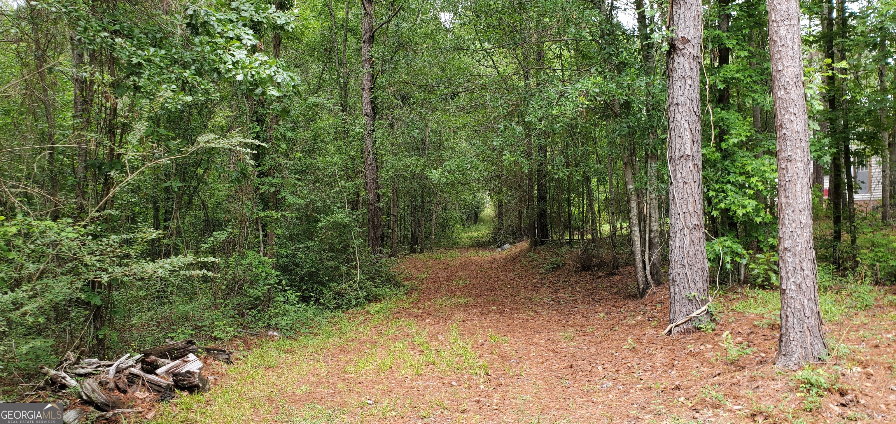 132 N Ocmulgee Boulevard Property Photo 55