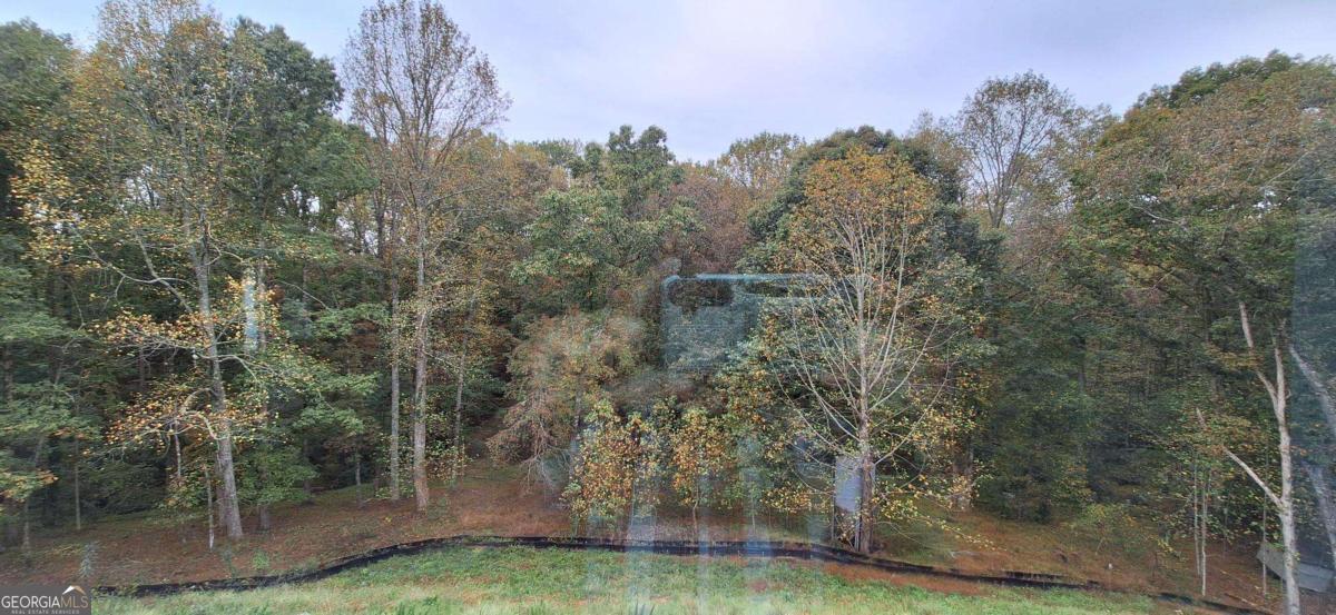 10 Trace Bluff Property Photo 47