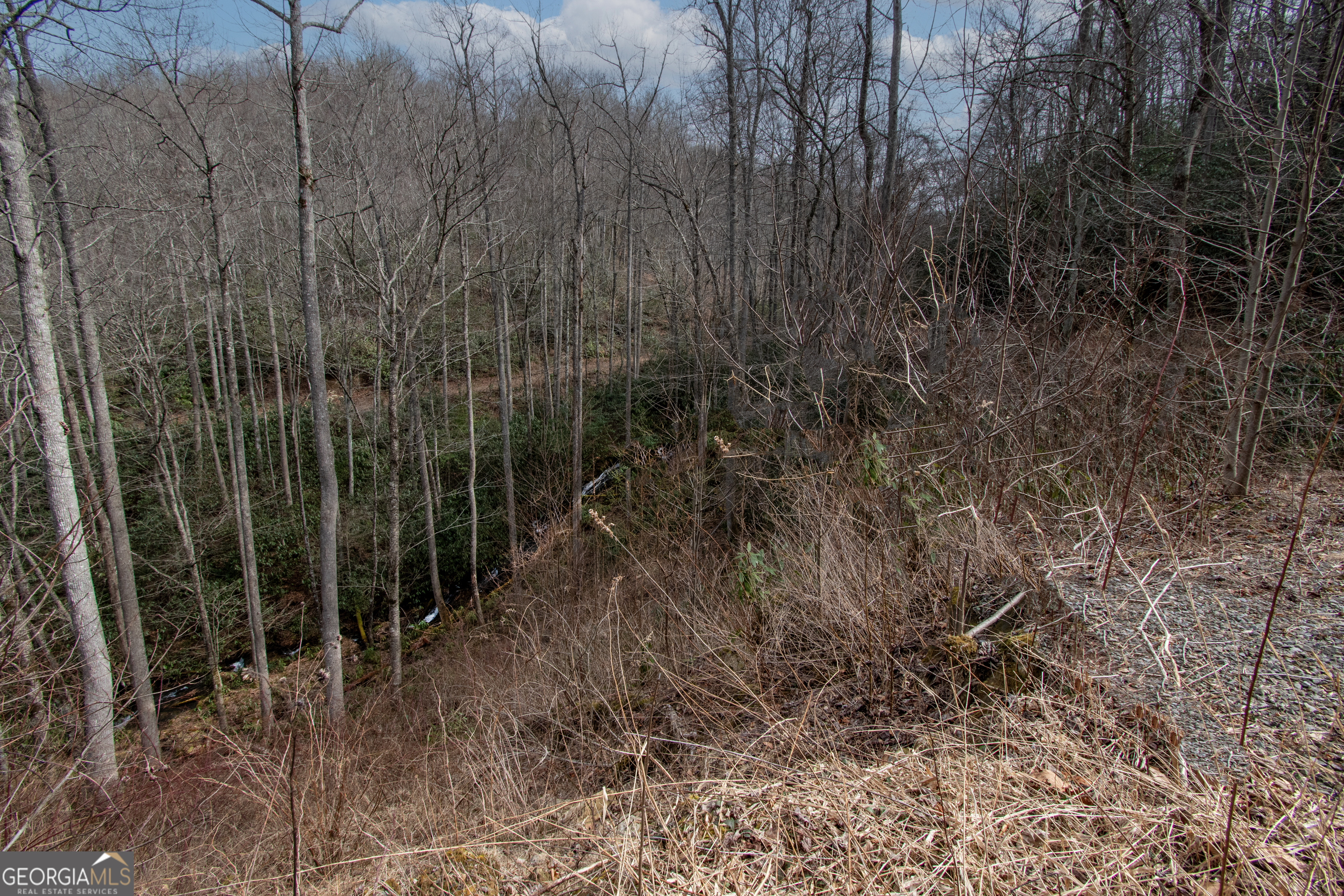 0 Walnut Cove Branch Road Property Photo 1