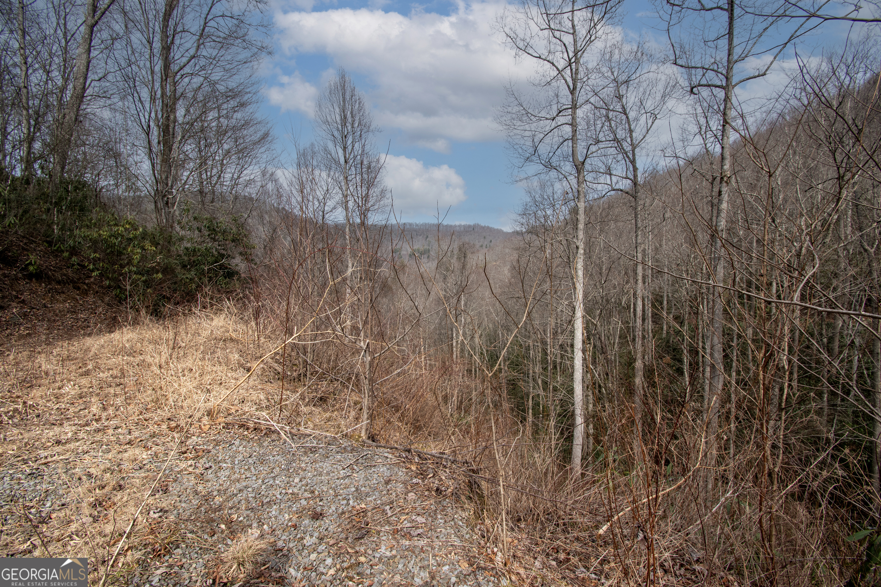 0 Walnut Cove Branch Road Property Photo 2
