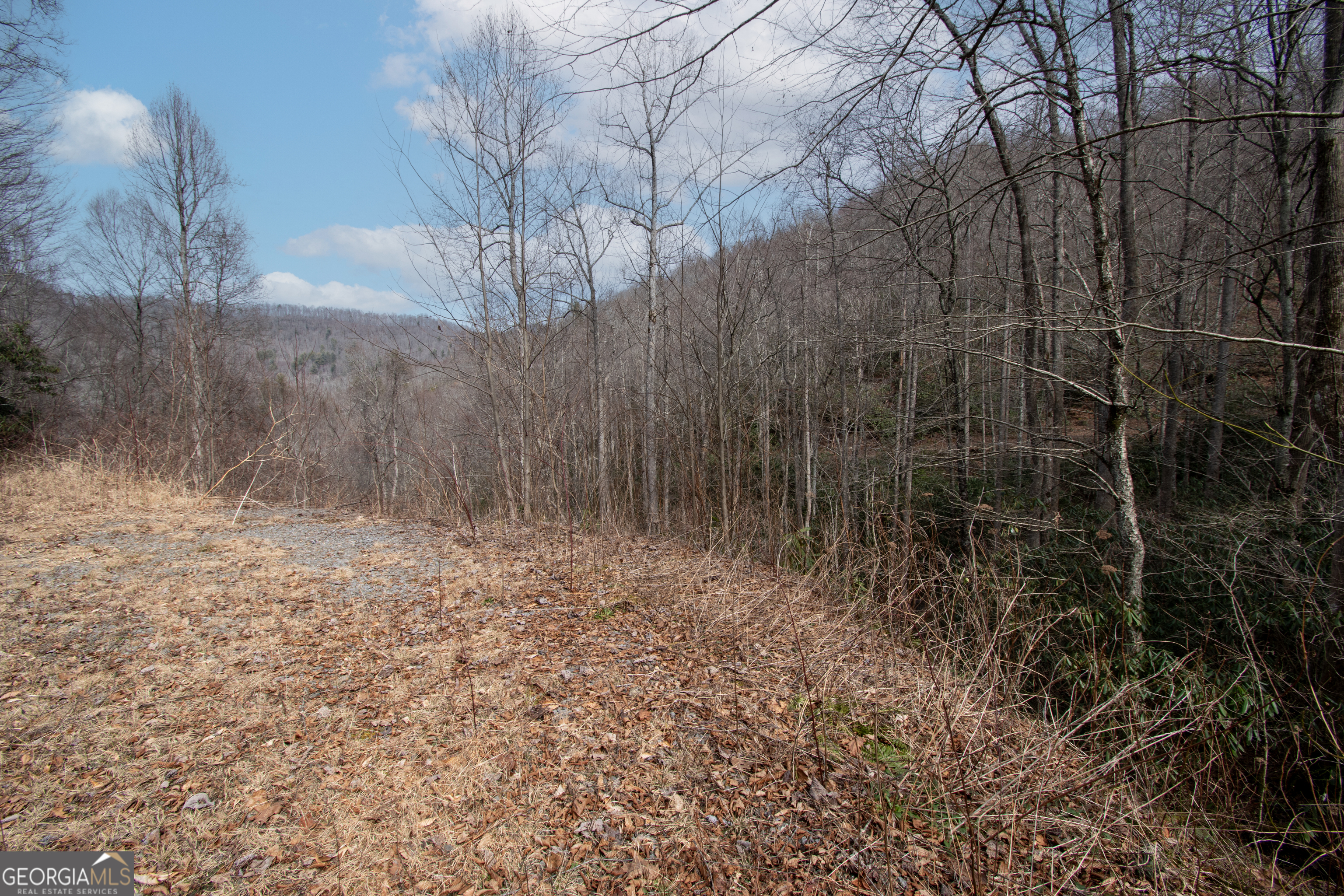 0 Walnut Cove Branch Road Property Photo 3