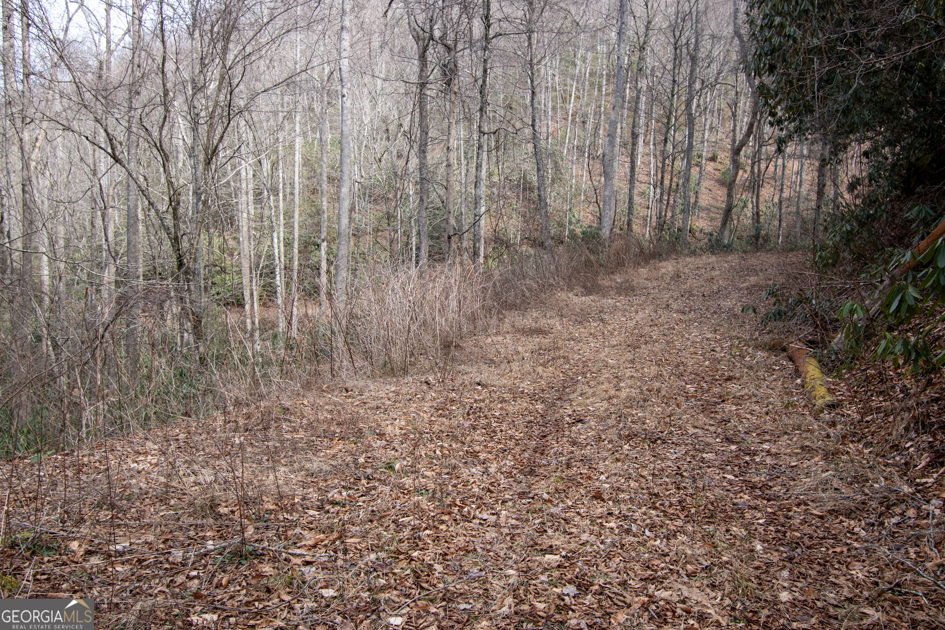 0 Walnut Cove Branch Road Property Photo 4