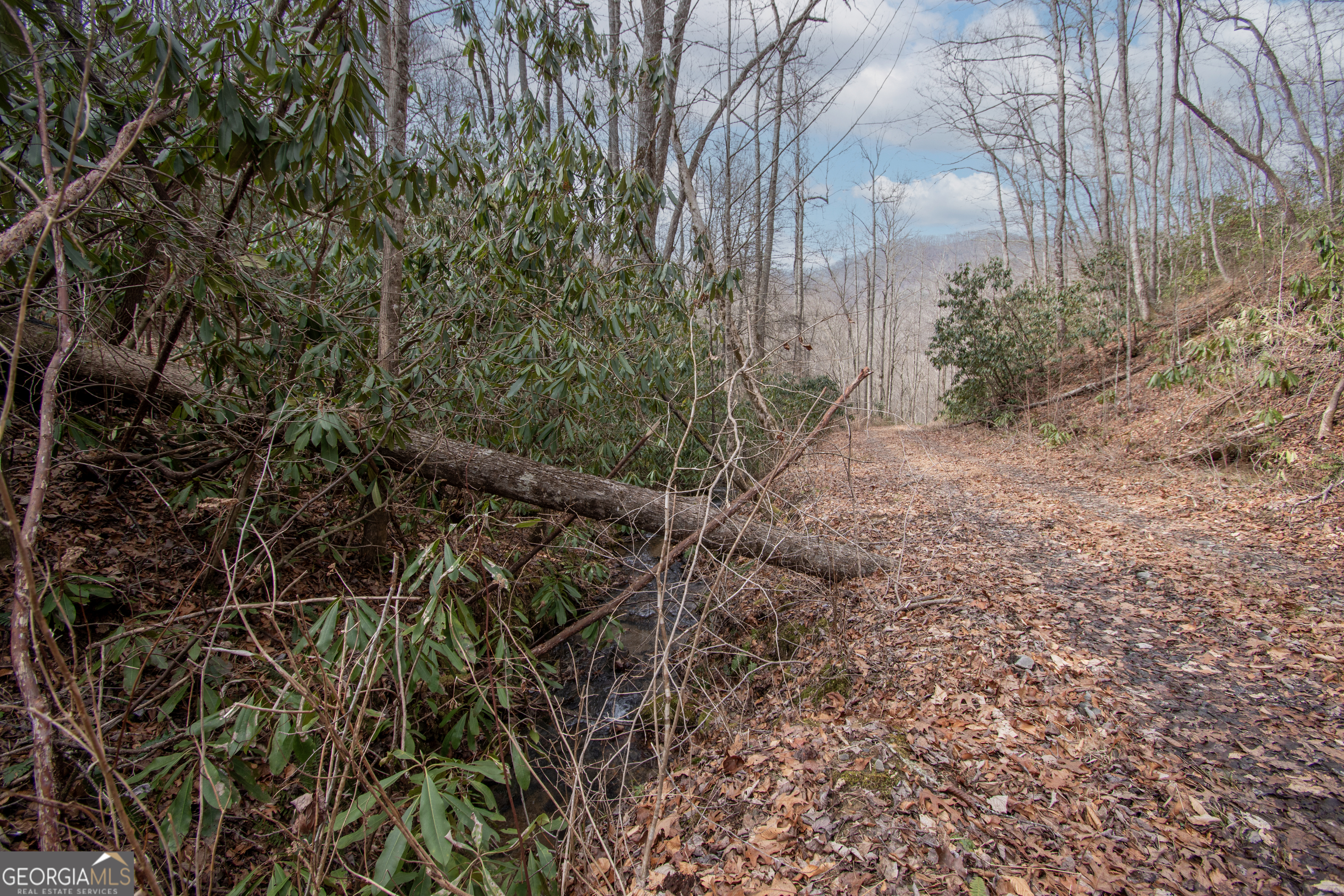0 Walnut Cove Branch Road Property Photo 5