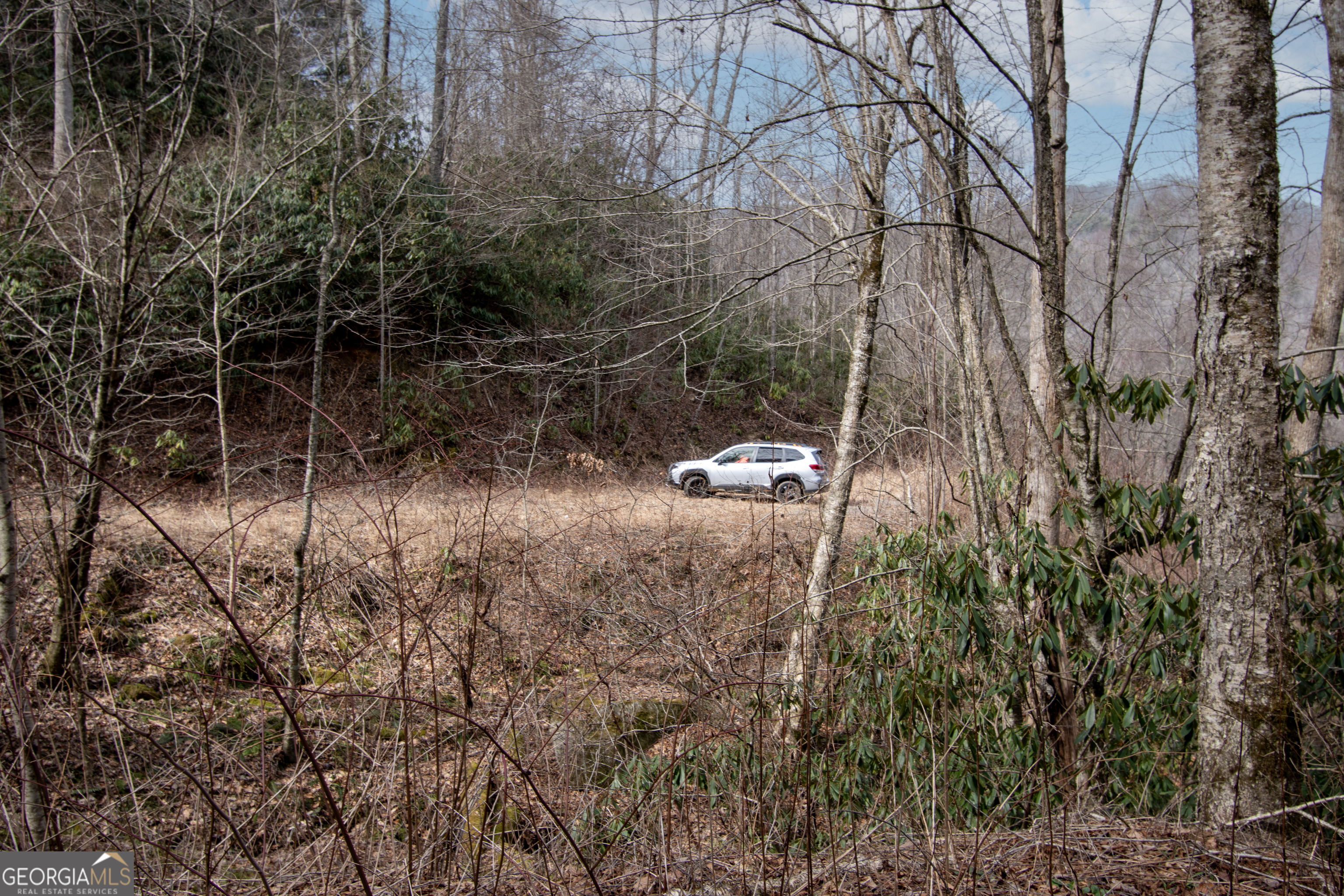0 Walnut Cove Branch Road Property Photo 6