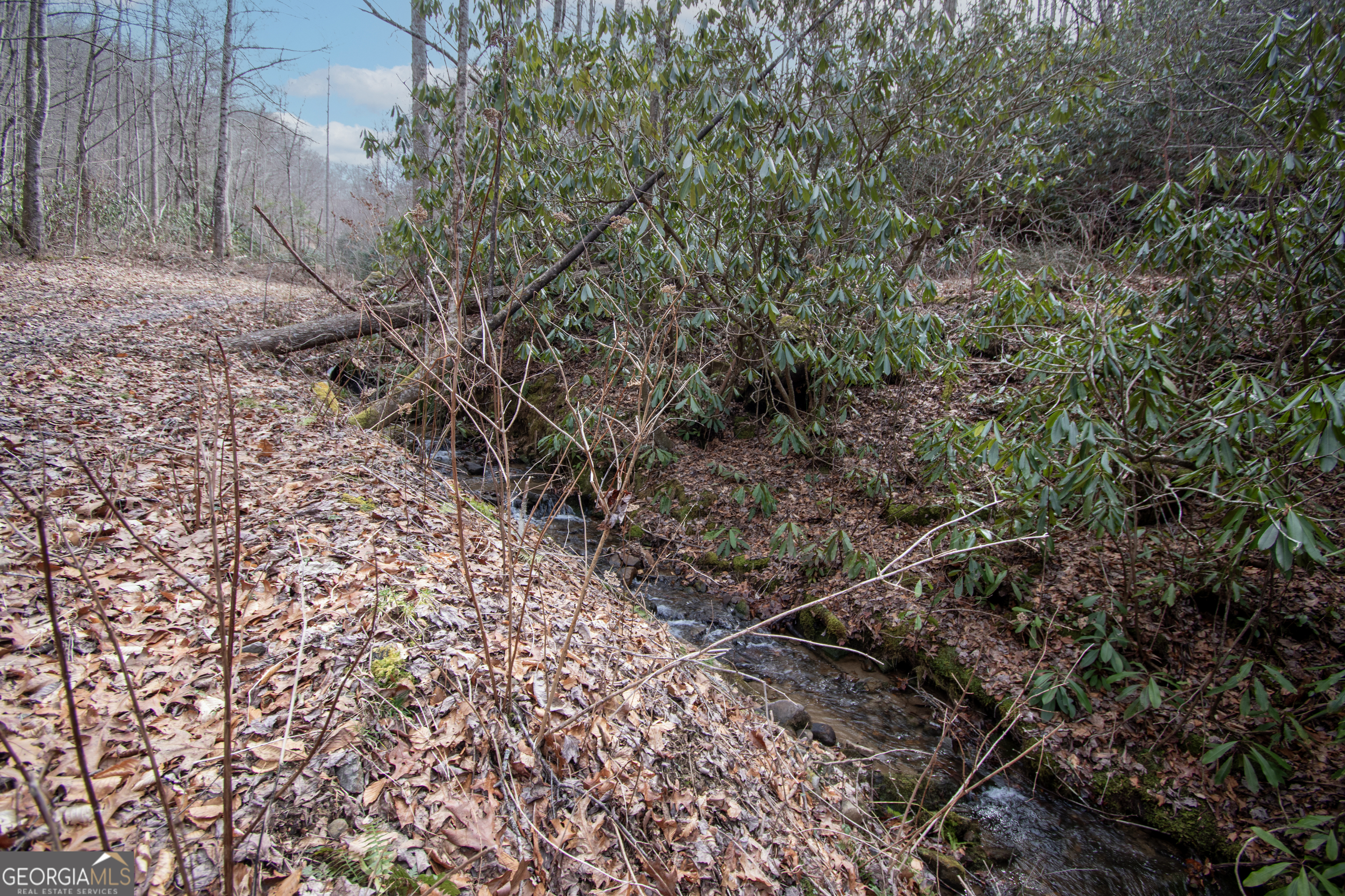0 Walnut Cove Branch Road Property Photo 7