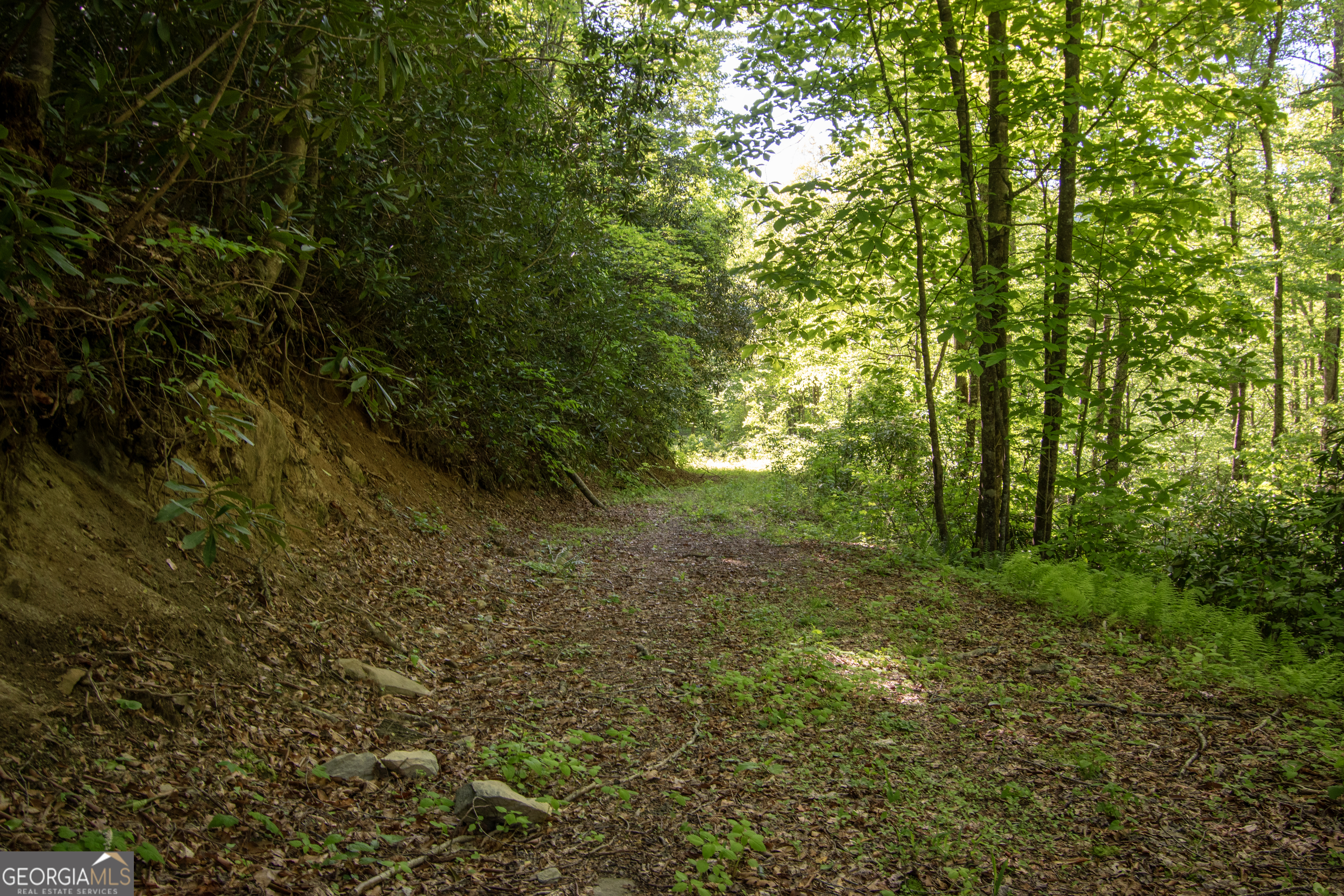 0 Walnut Cove Branch Road Property Photo 8