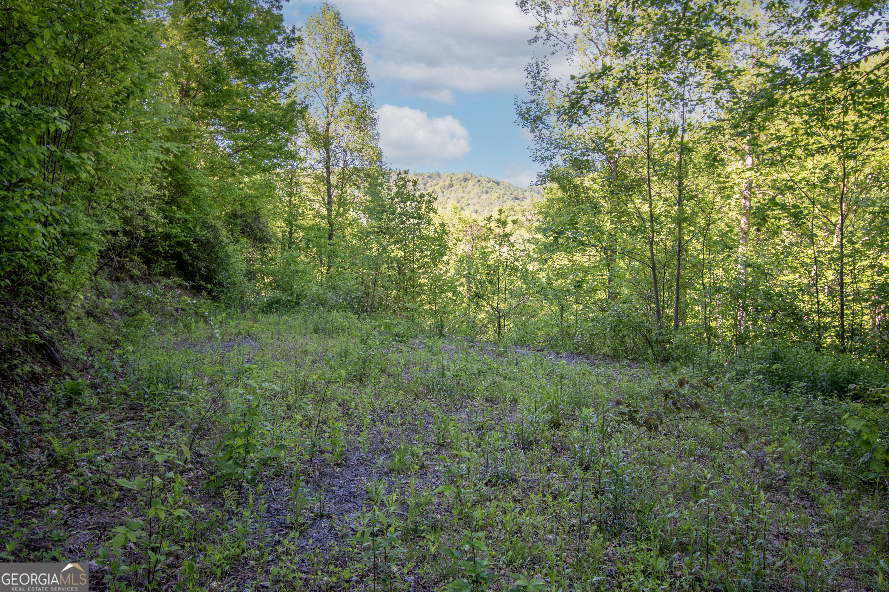 0 Walnut Cove Branch Road Property Photo 10
