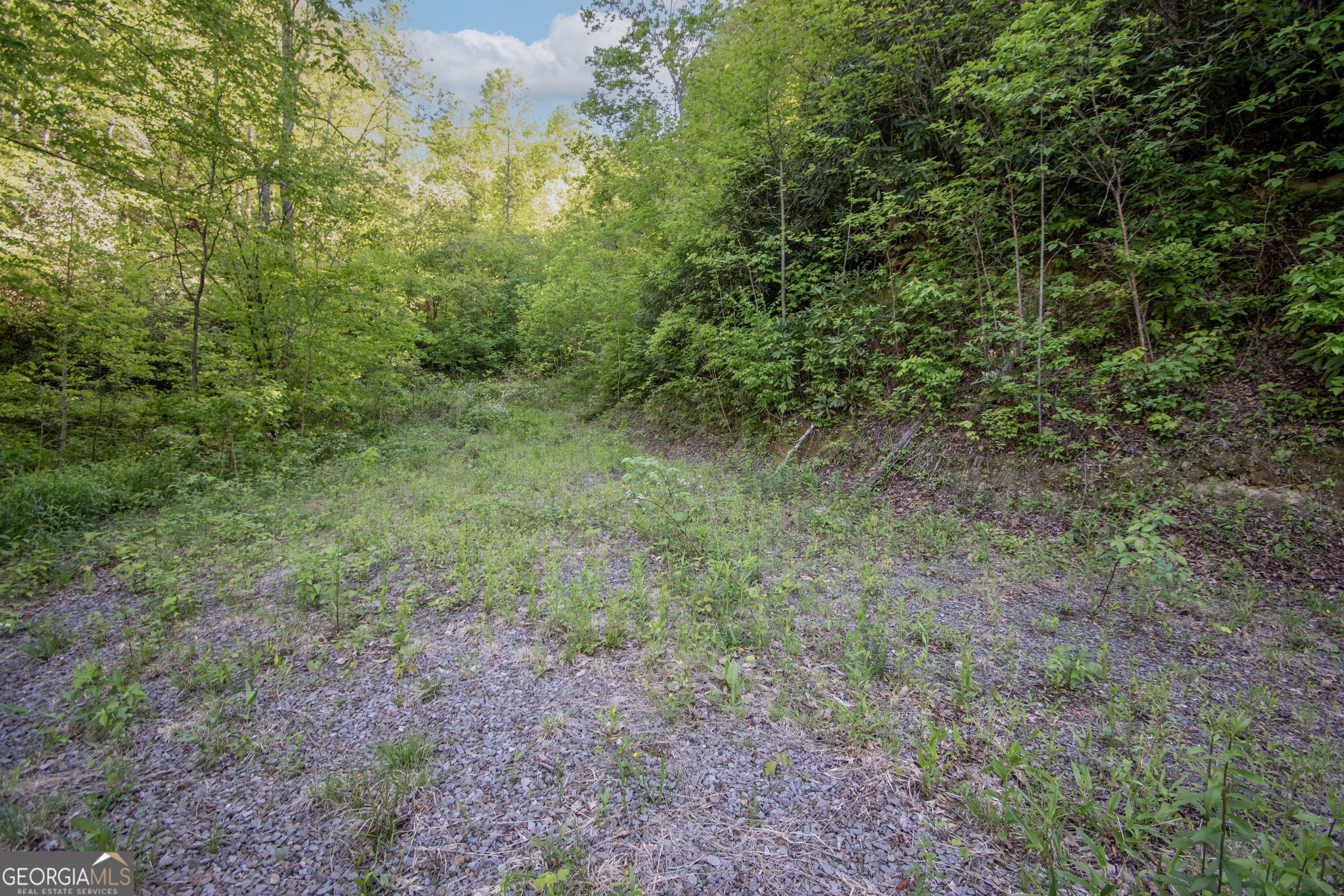 0 Walnut Cove Branch Road Property Photo 11