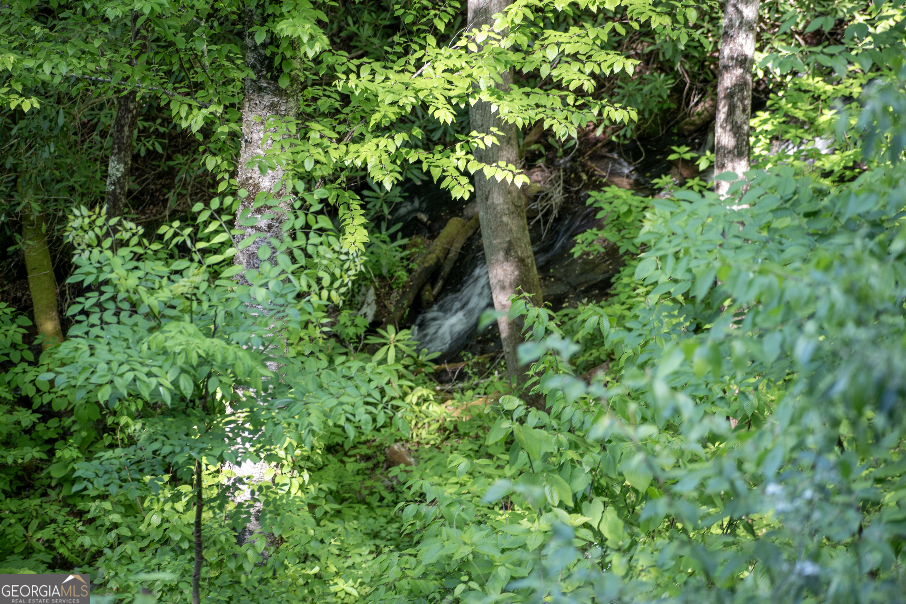 0 Walnut Cove Branch Road Property Photo 12