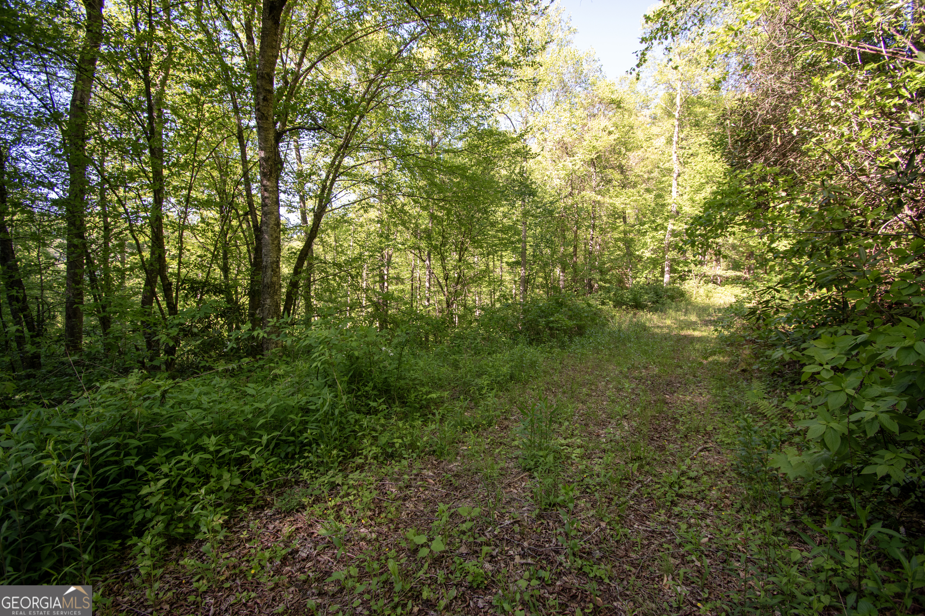 0 Walnut Cove Branch Road Property Photo 13