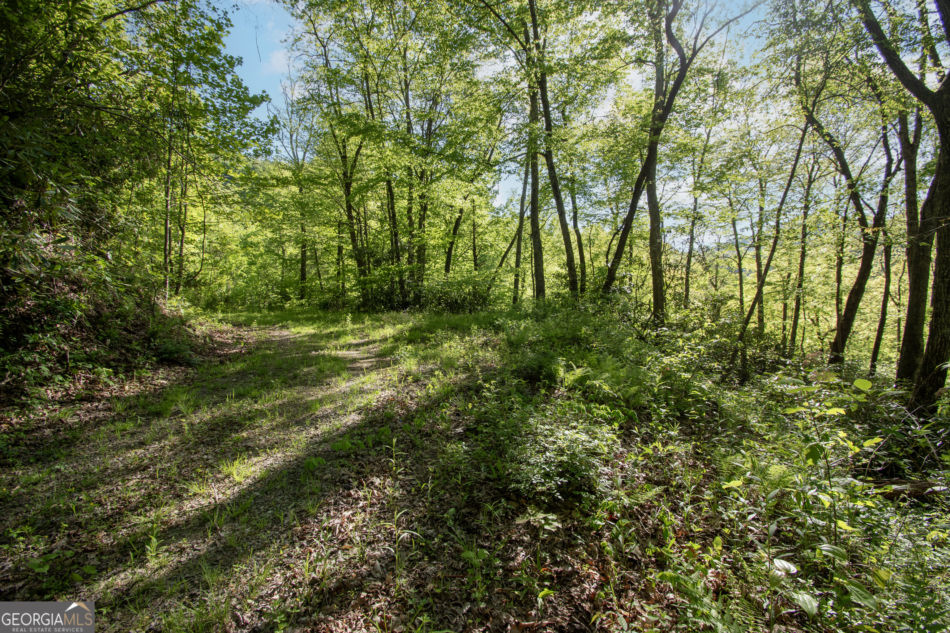 0 Walnut Cove Branch Road Property Photo 14