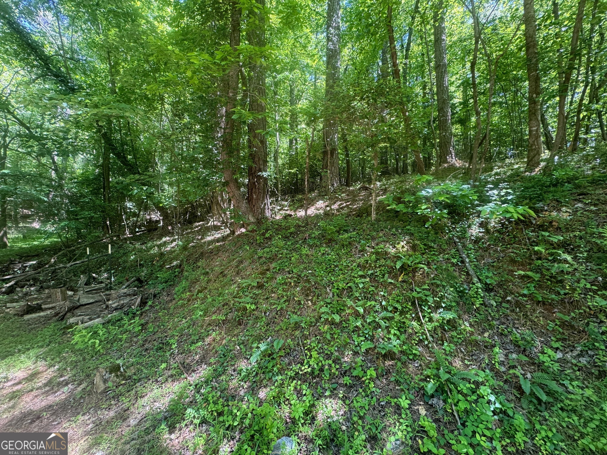 0 Bible Baptist Property Photo 3