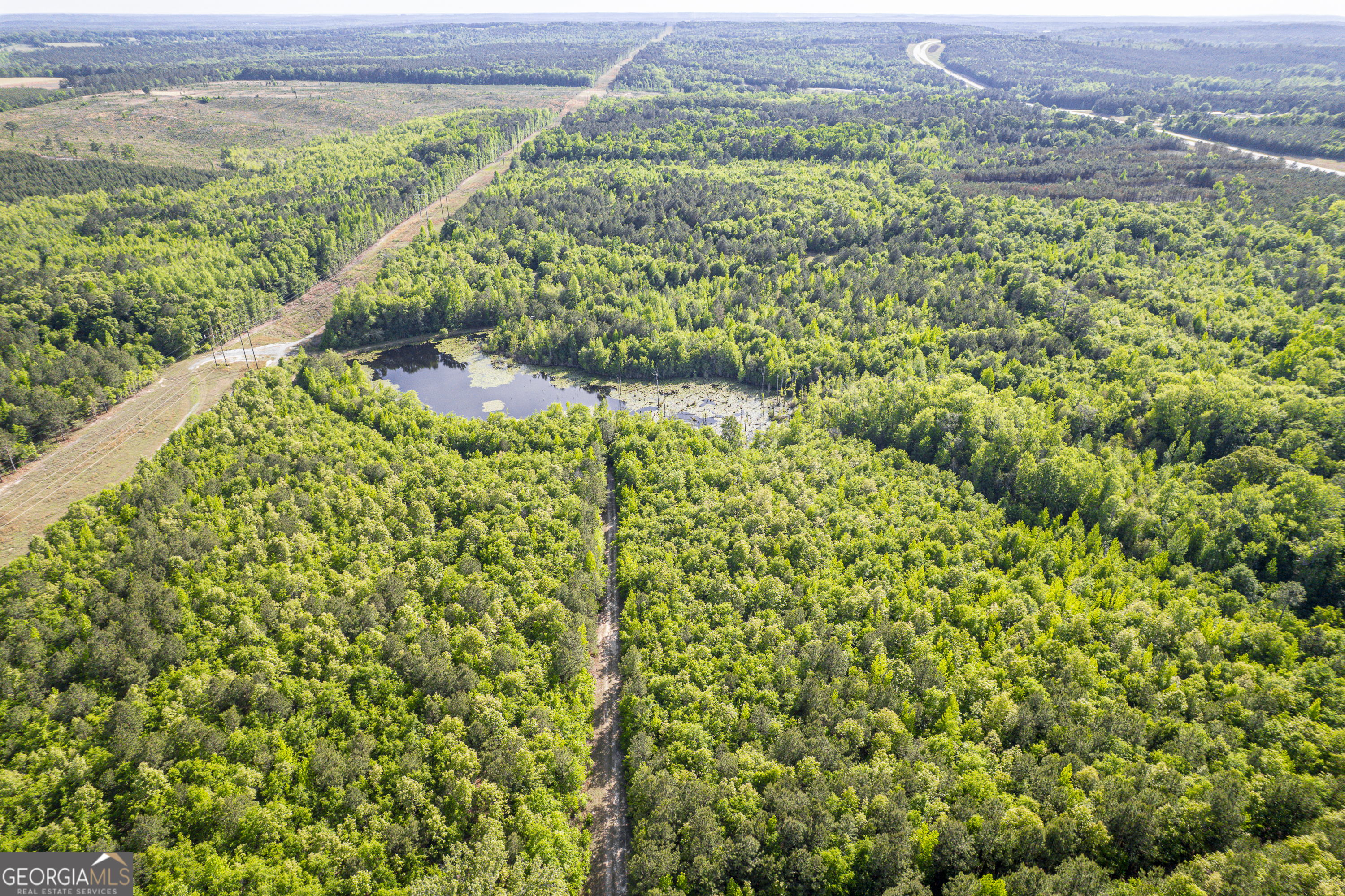 21701 Highway 441 Property Photo 1