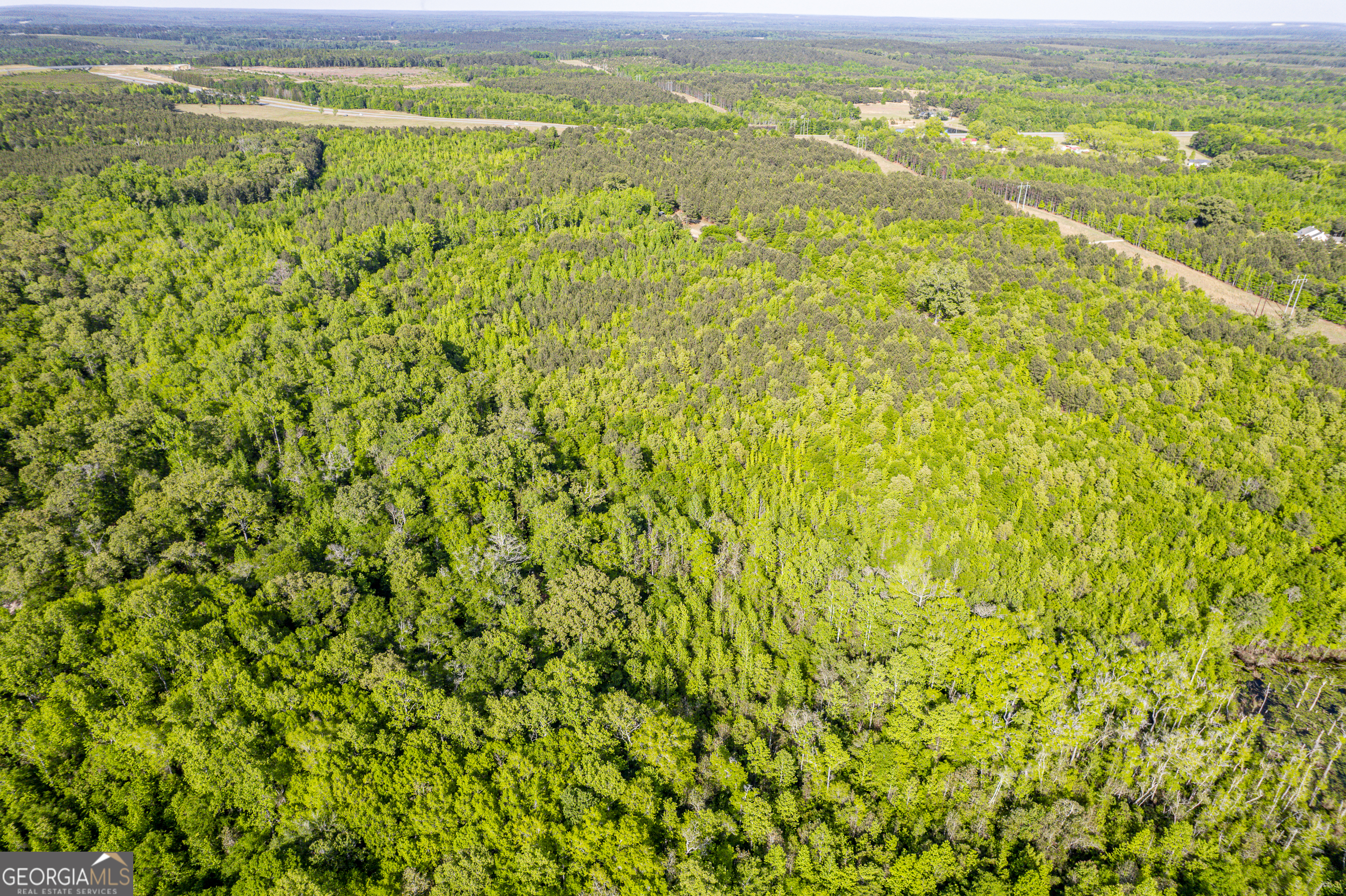 21701 Highway 441 Property Photo 2