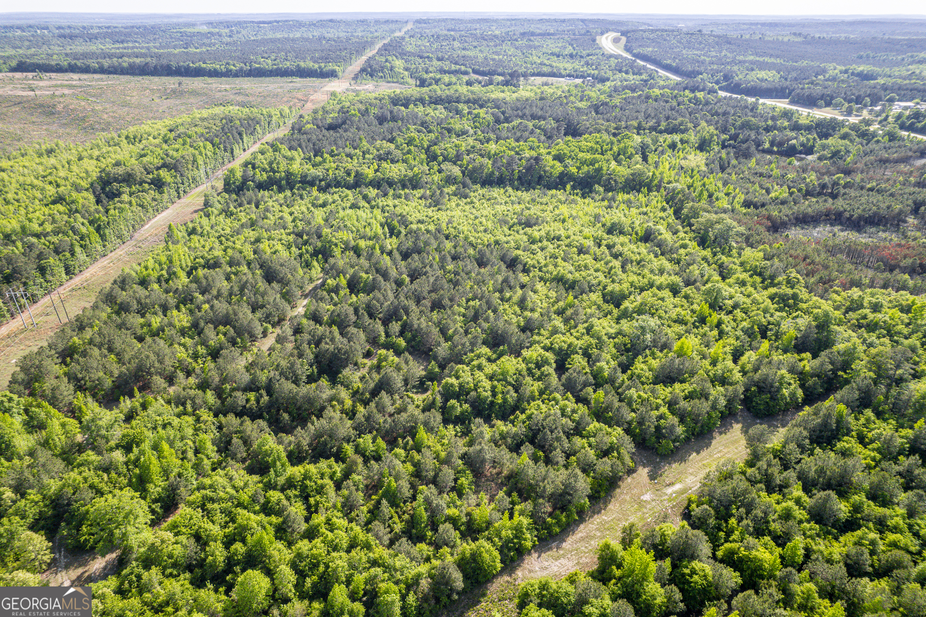 21701 Highway 441 Property Photo 3