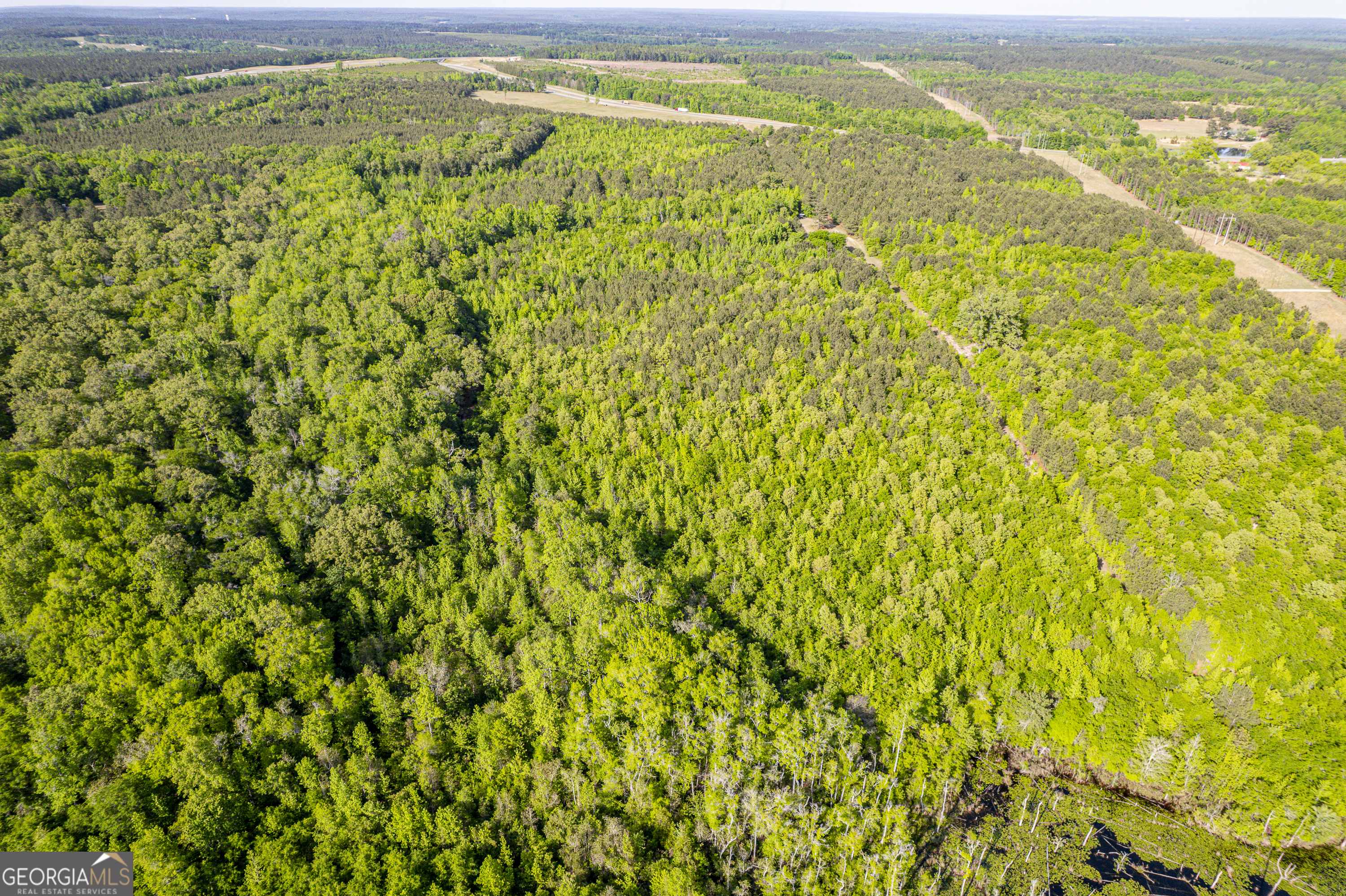 21701 Highway 441 Property Photo 4