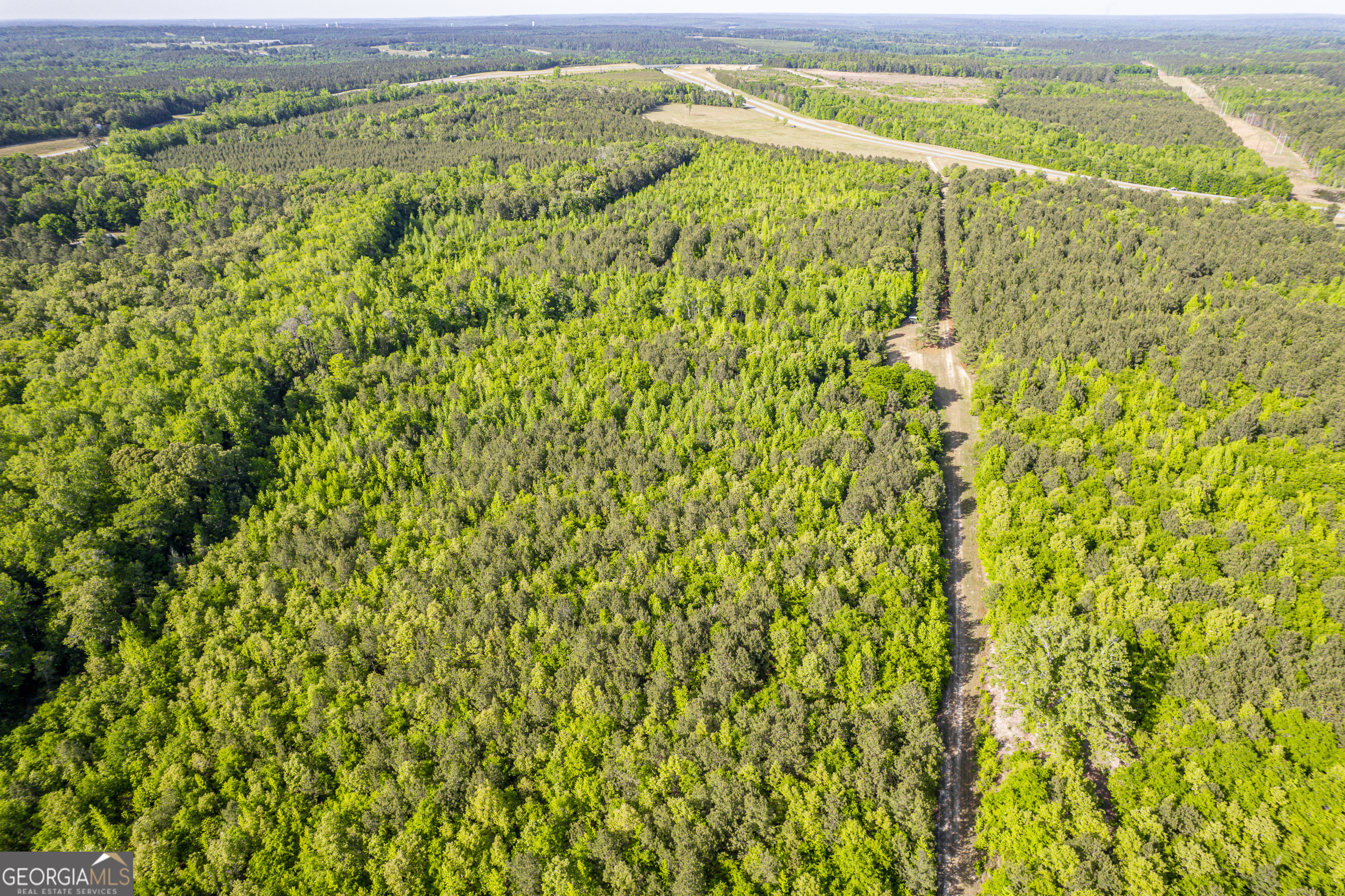 21701 Highway 441 Property Photo 5