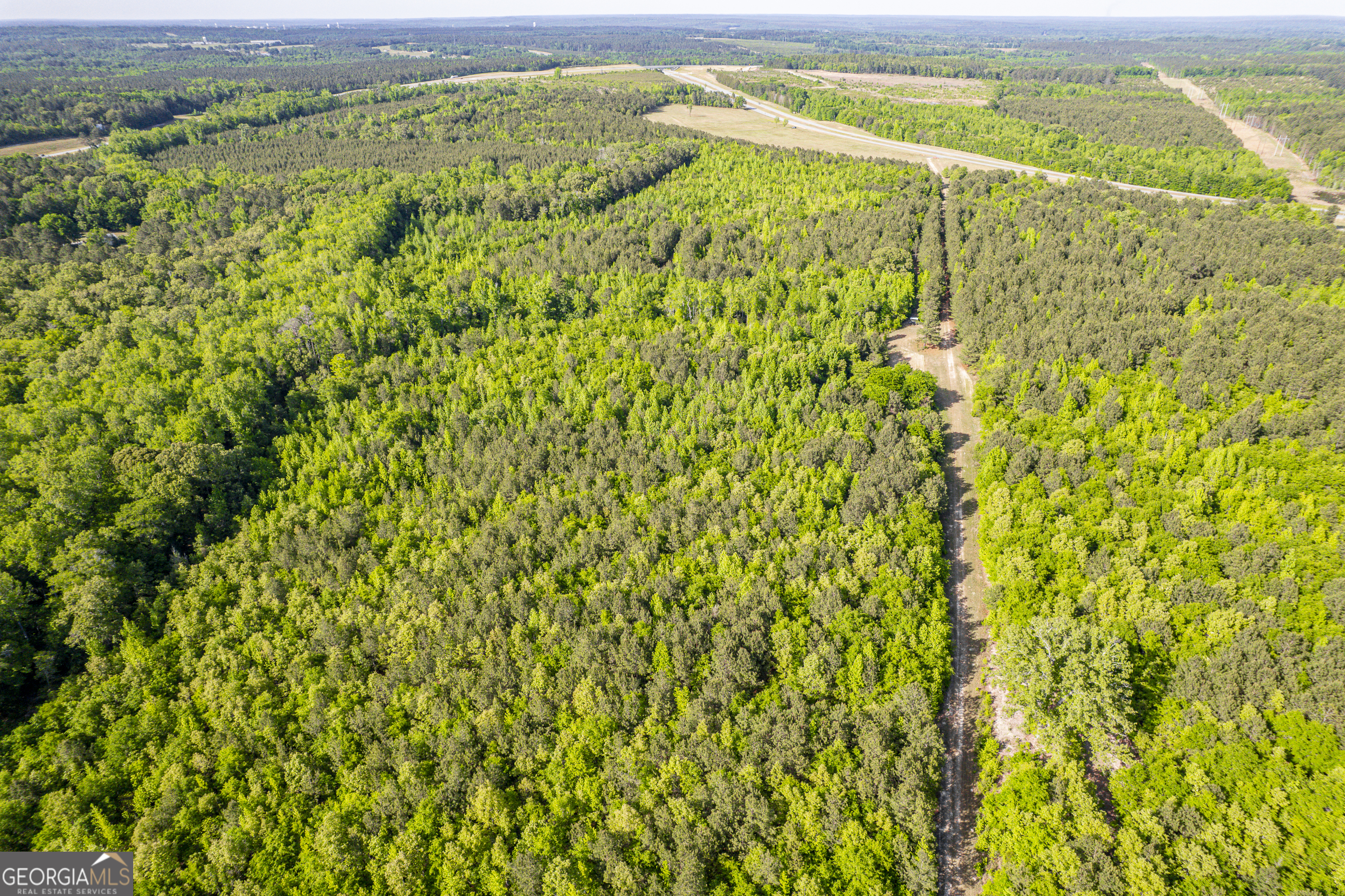 21701 Highway 441 Property Photo 6
