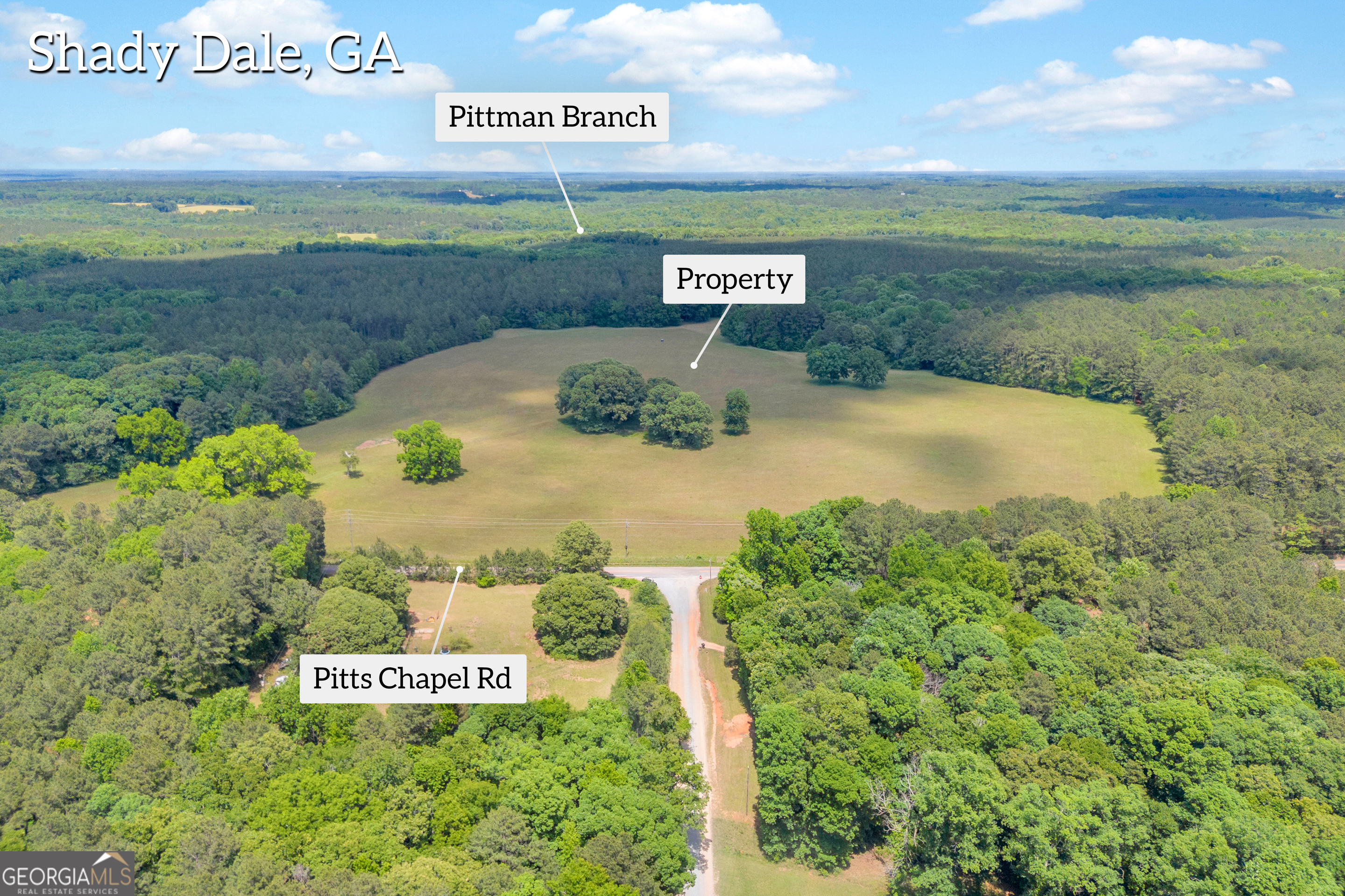 0 Pitts Chapel Road Property Photo 3
