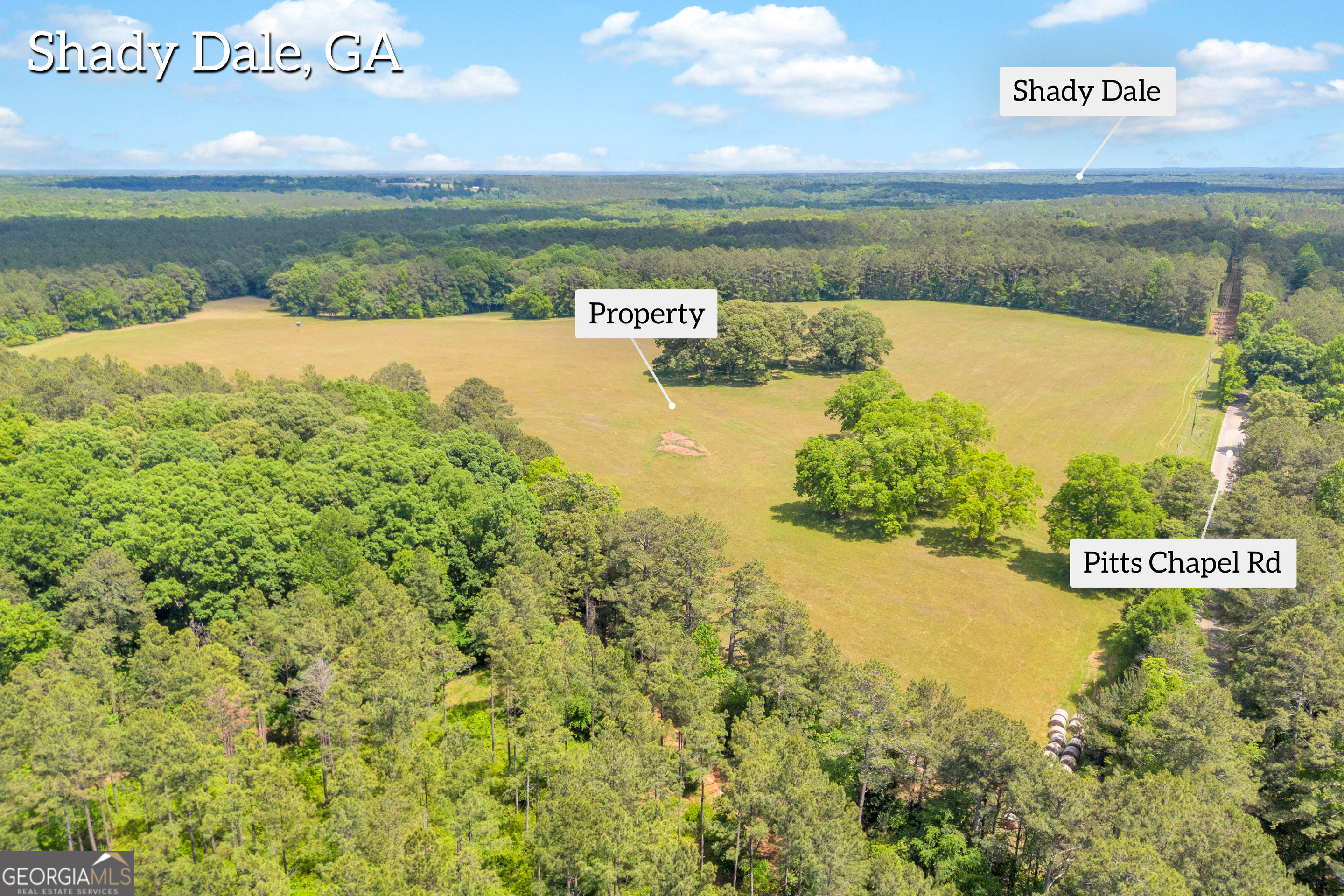 0 Pitts Chapel Road Property Photo 6