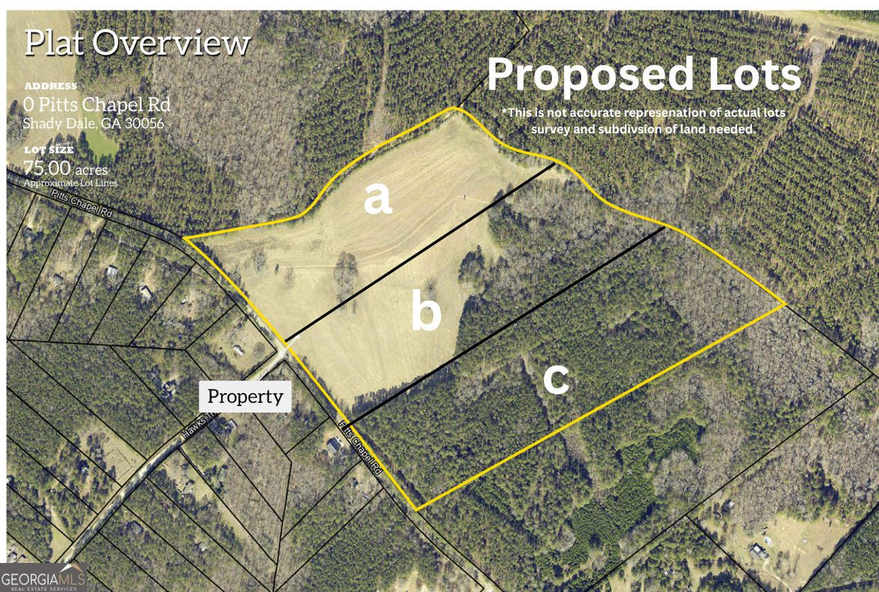 0 Lot C Pitts Chapel Road Property Photo 1