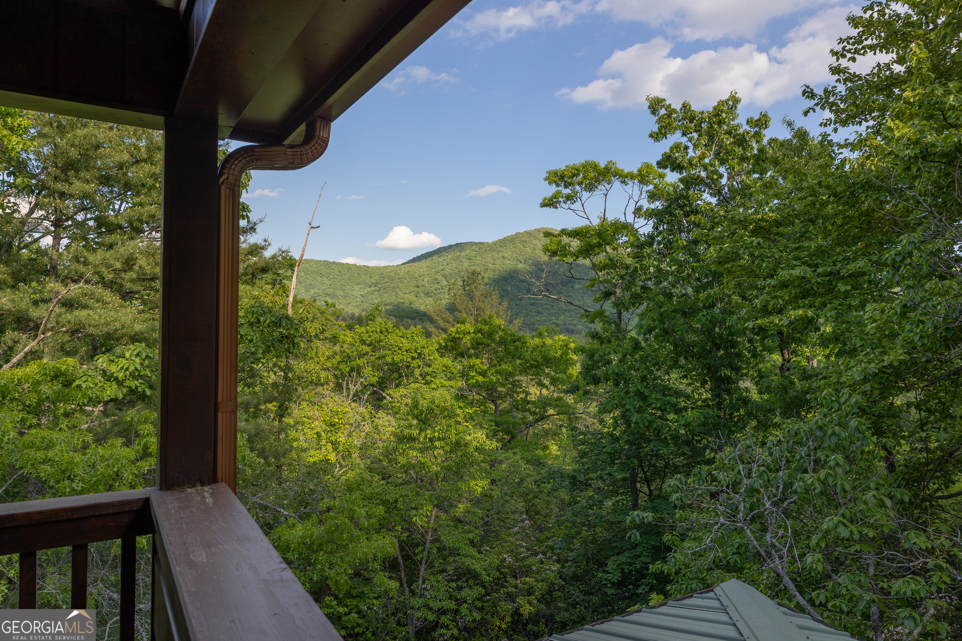 351 John Dick Overlook Property Photo 52