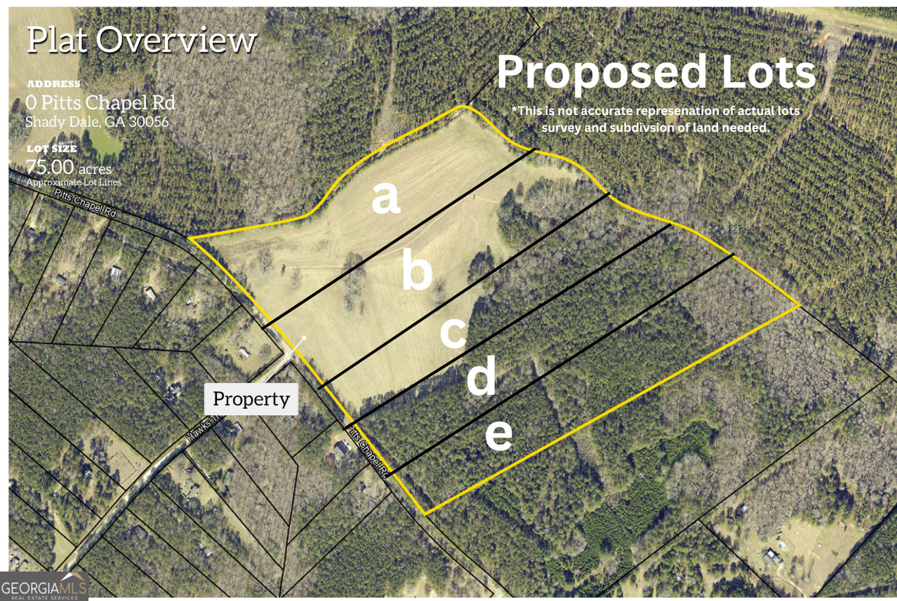 Lot D 0 Pitts Chapel Road Property Photo 1