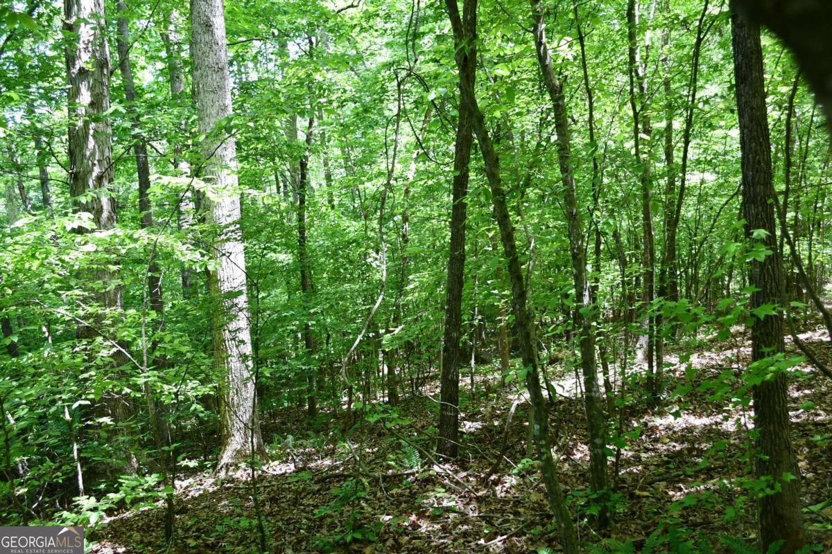 00001 Wilson Road Property Photo 13