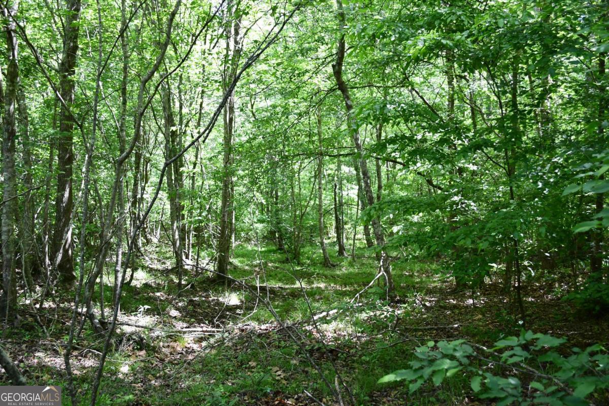 00001 Wilson Road Property Photo 14