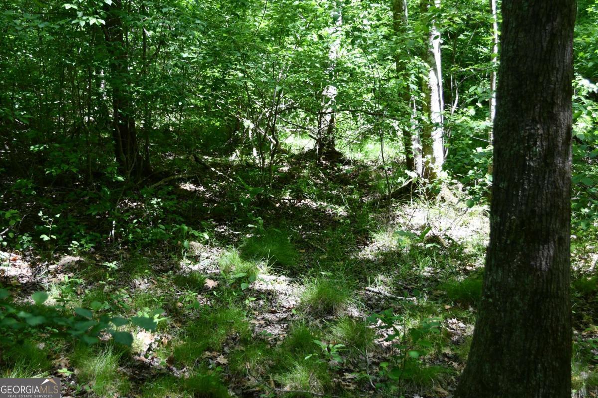 00001 Wilson Road Property Photo 18