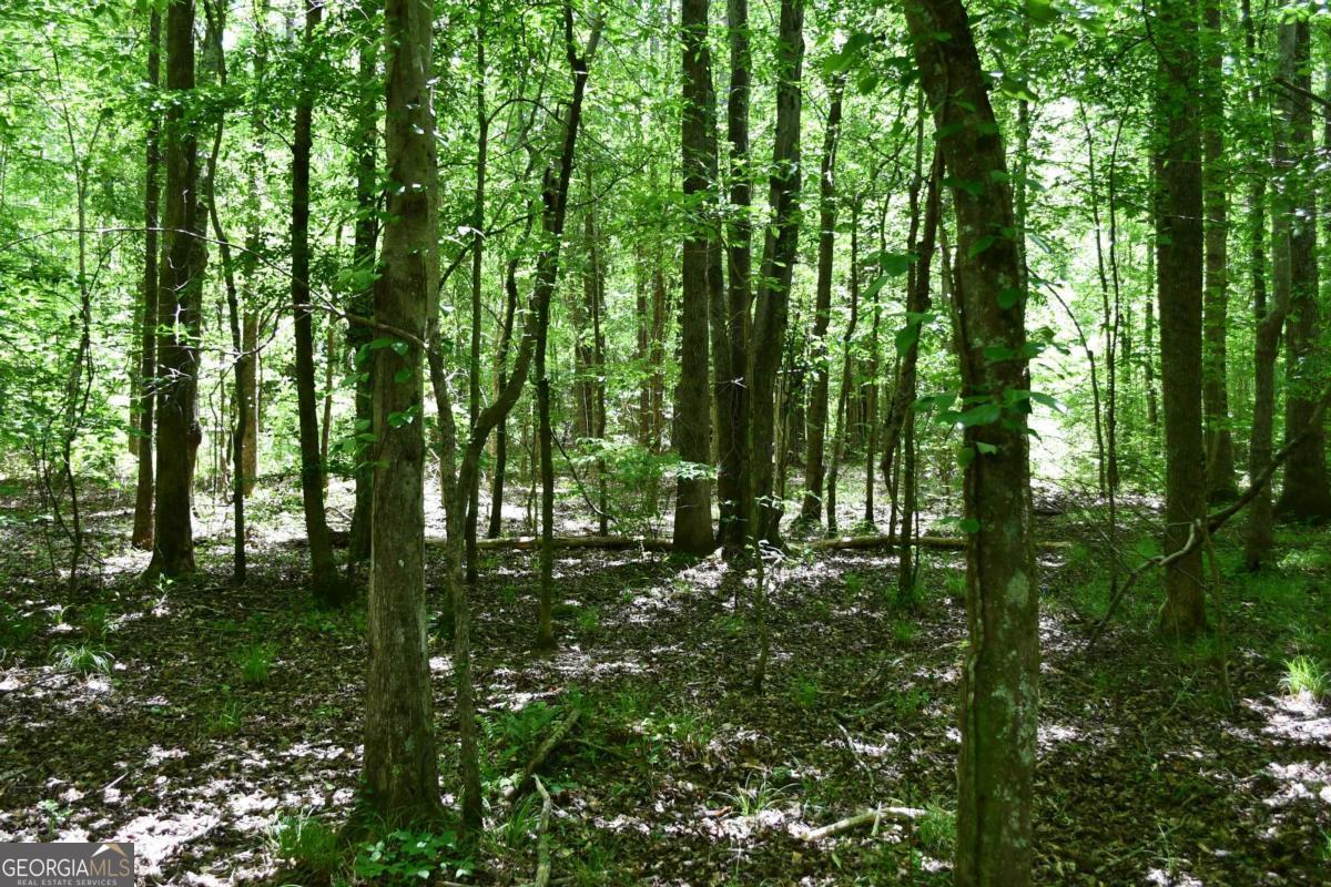 00001 Wilson Road Property Photo 21