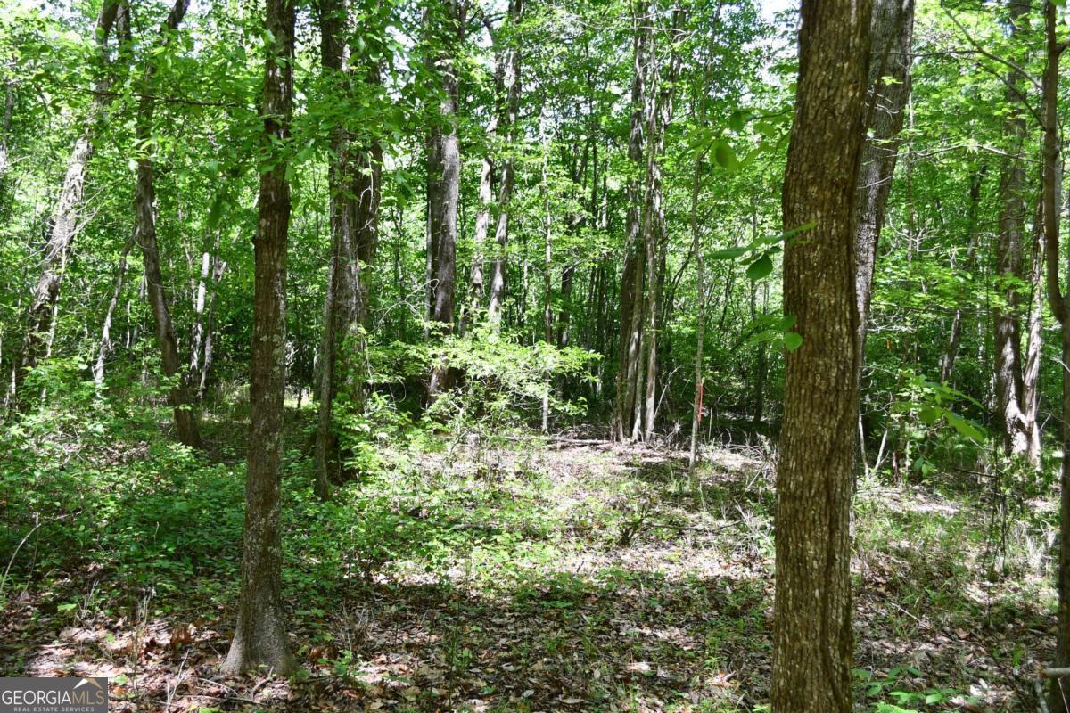 00001 Wilson Road Property Photo 22