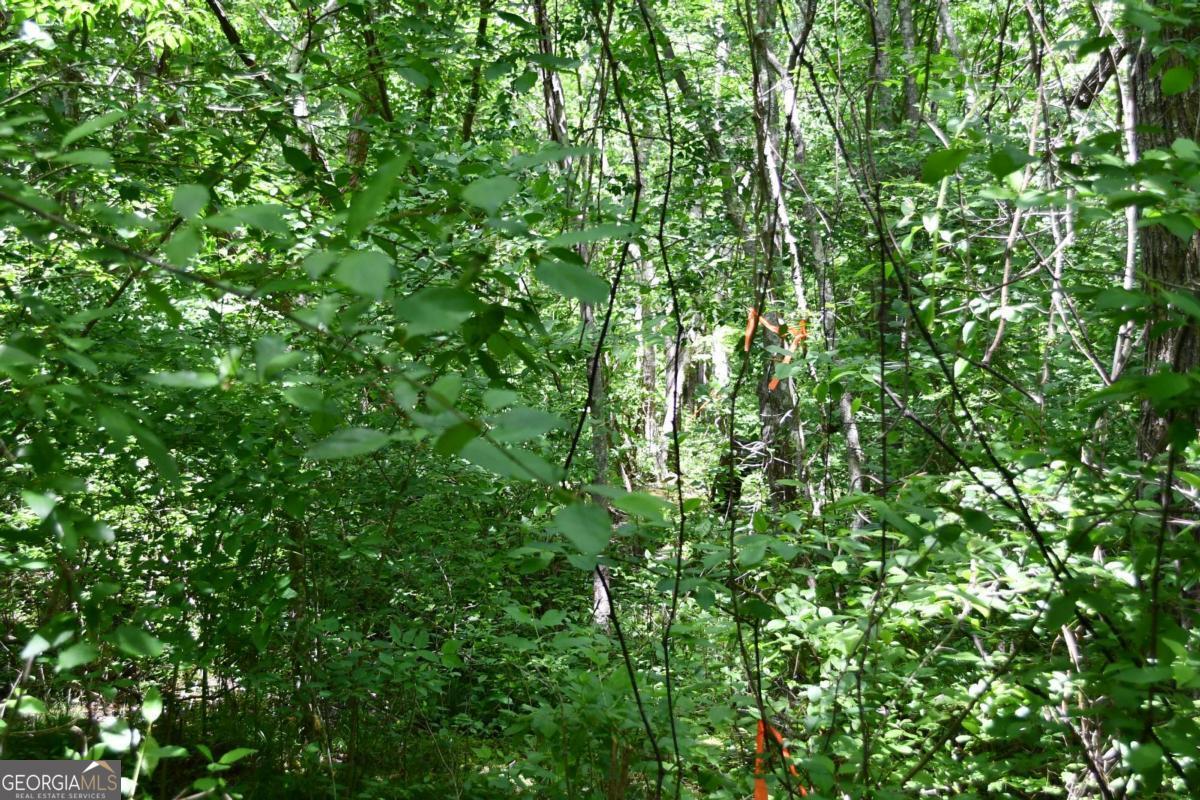 00001 Wilson Road Property Photo 26