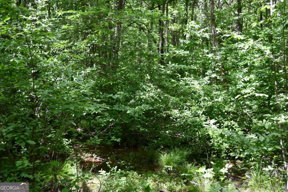 00001 Wilson Road Property Photo 28