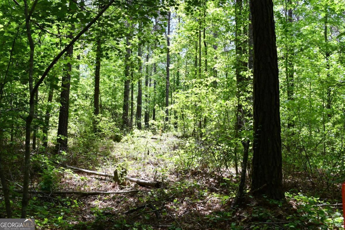 00001 Wilson Road Property Photo 34