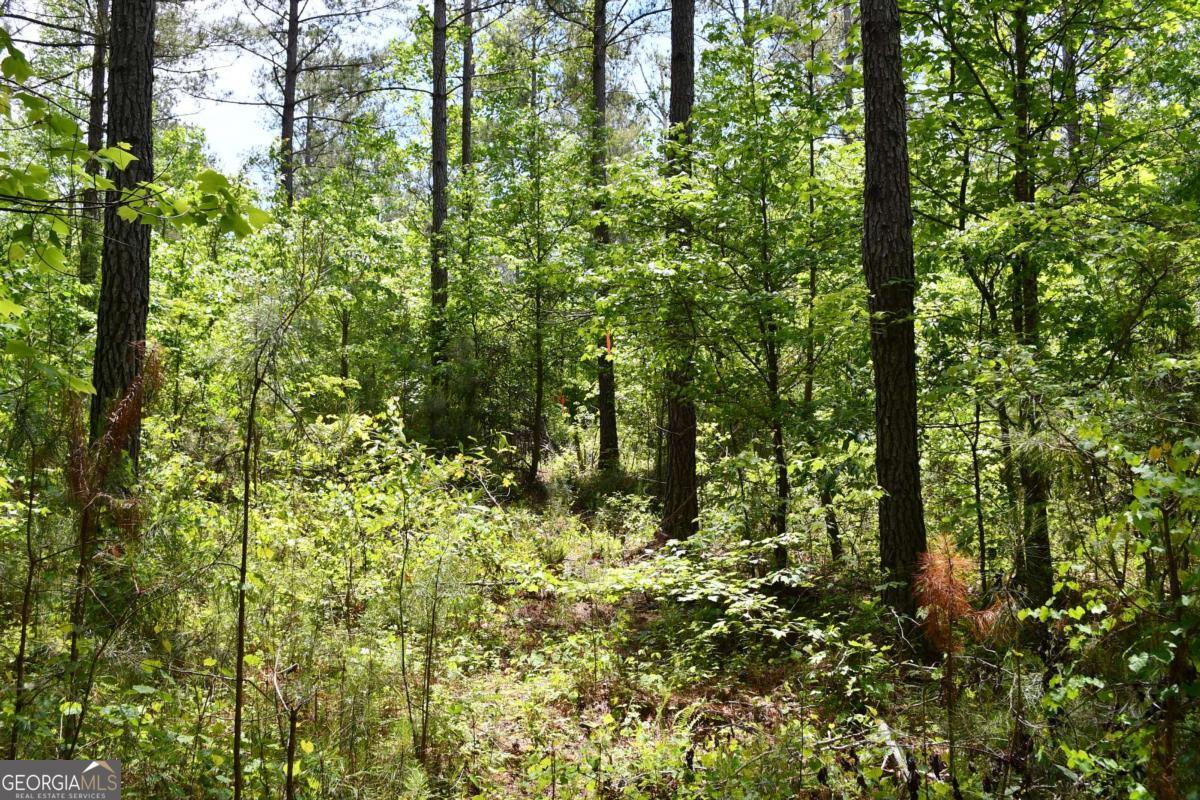 00001 Wilson Road Property Photo 35