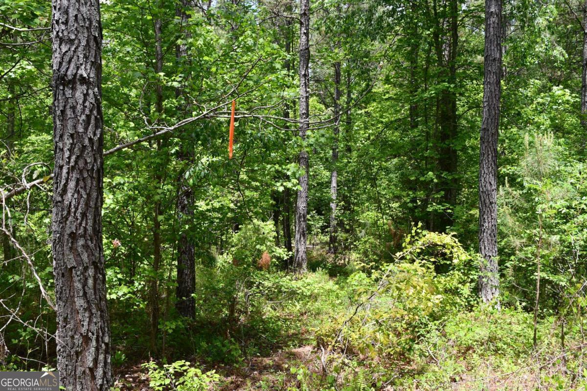 00001 Wilson Road Property Photo 37