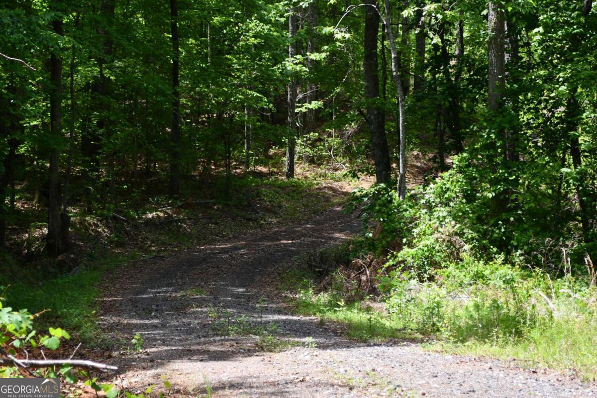 00001 Wilson Road Property Photo 42