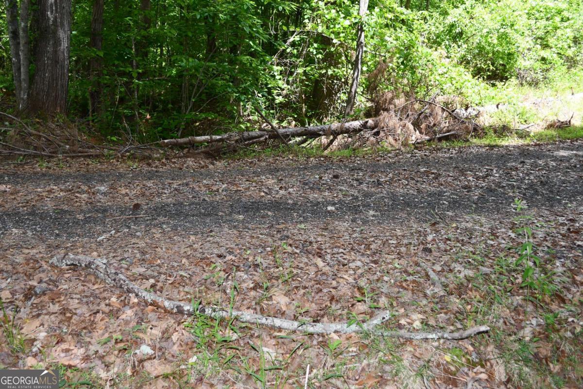 00001 Wilson Road Property Photo 45